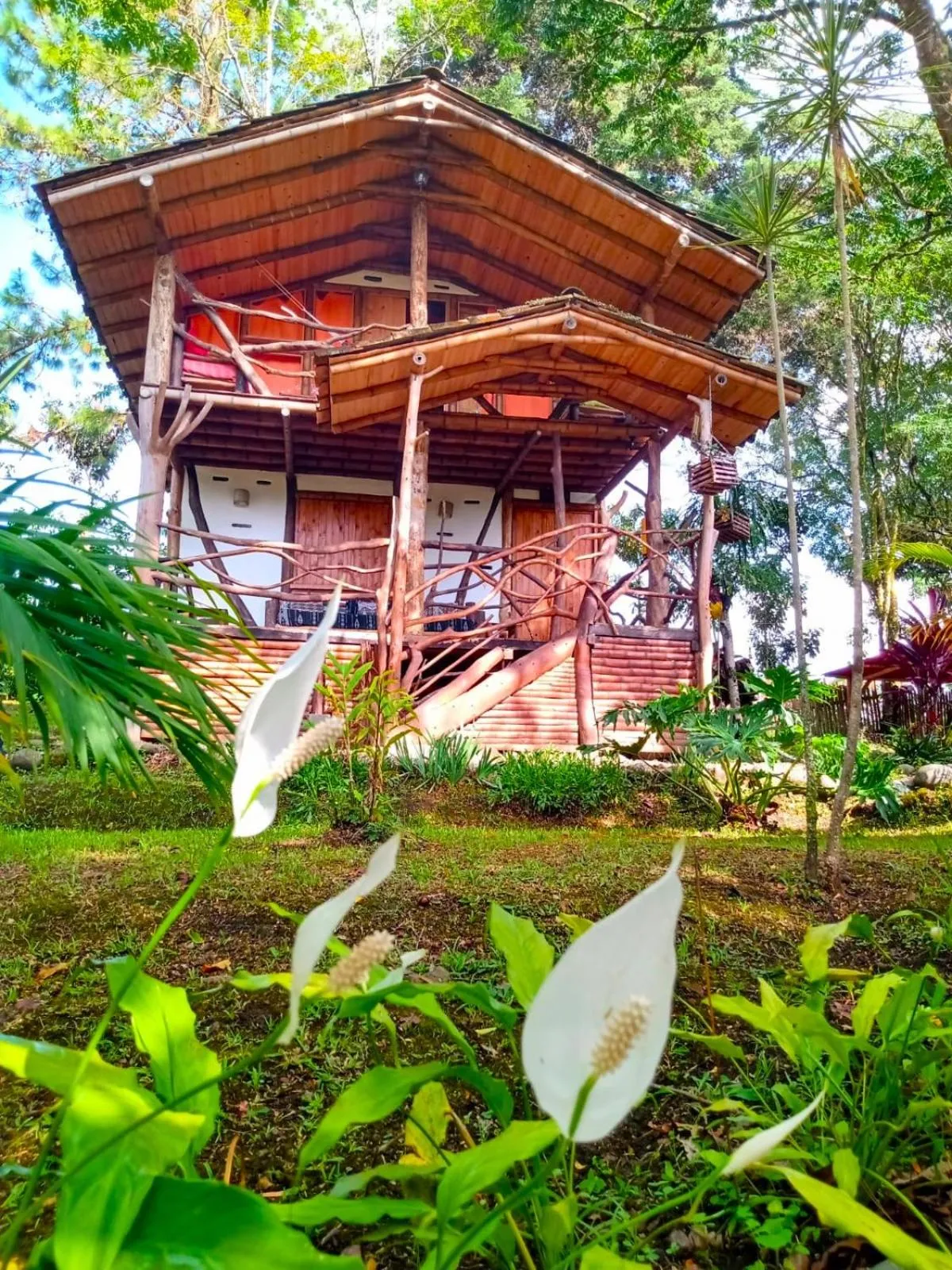 Garden in Hotel La Casa de Francois