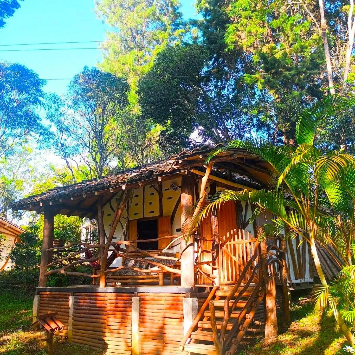 Garden in Hotel La Casa de Francois