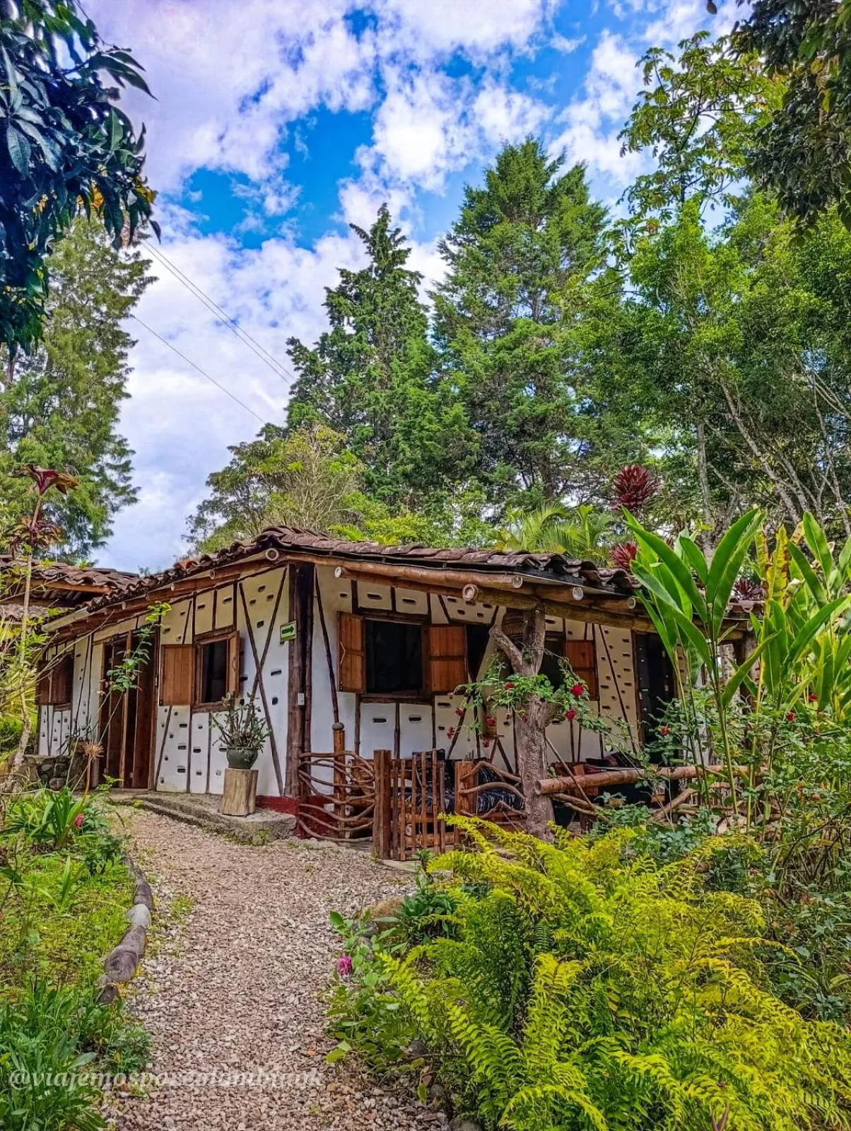 Garden view in Hotel La Casa de Francois