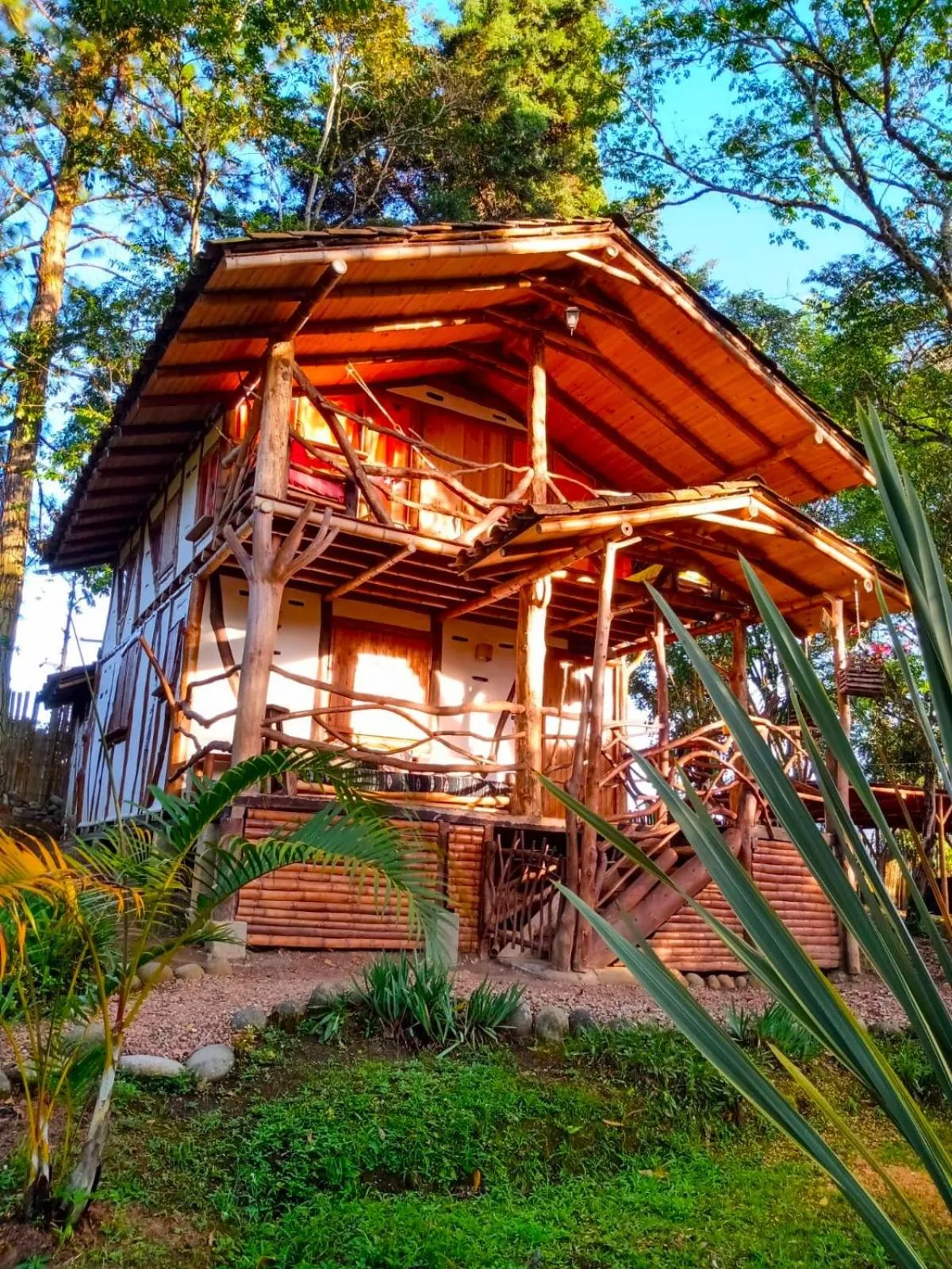Garden view in Hotel La Casa de Francois