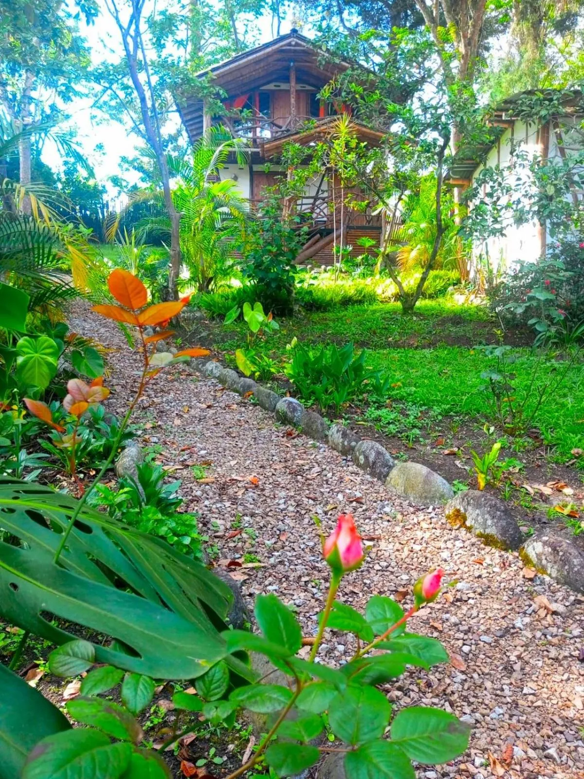 Natural landscape in Hotel La Casa de Francois