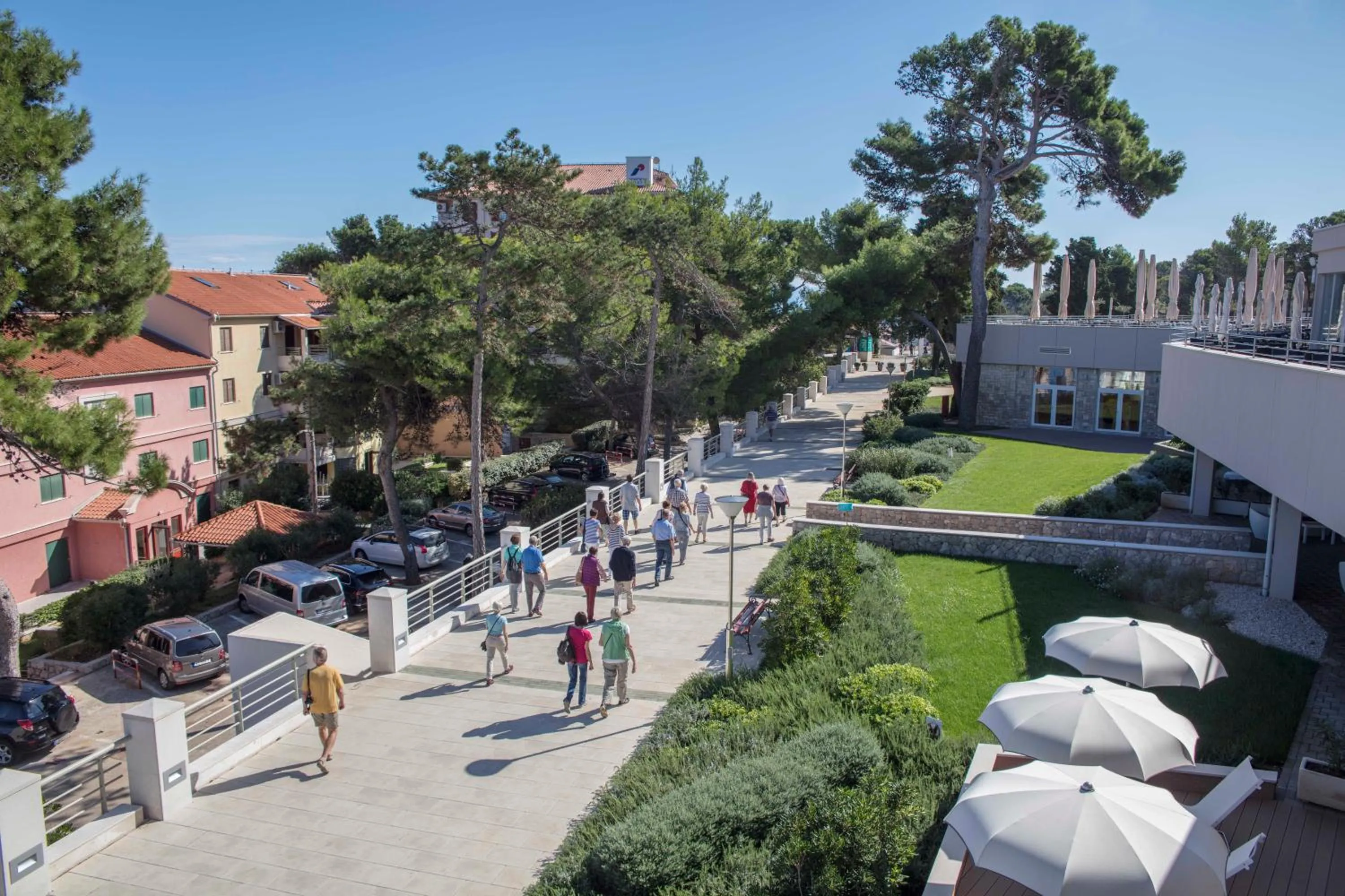 Area and facilities in Vitality Hotel Punta