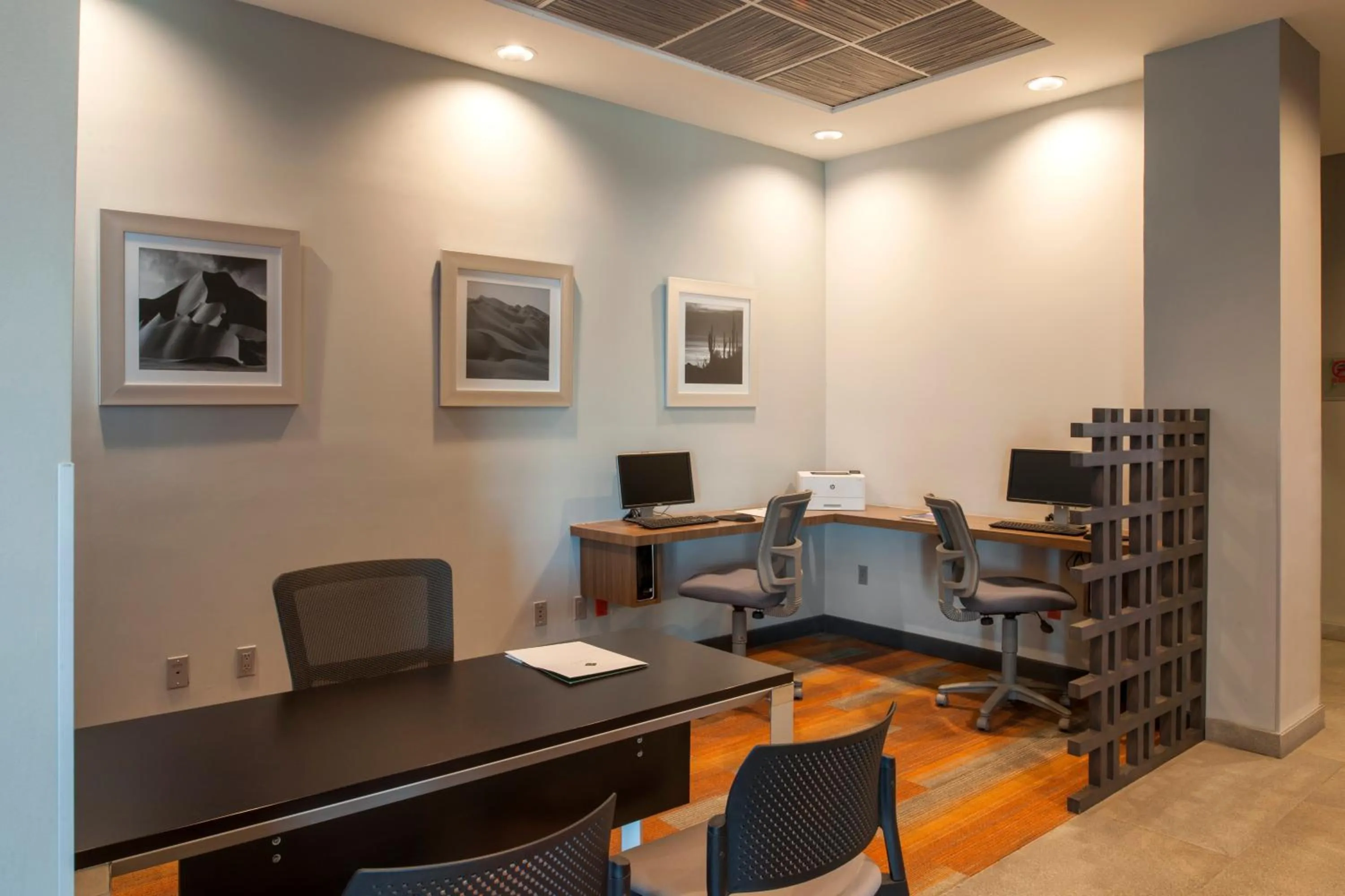 Business facilities in Hotel Araiza San Luis R.C.