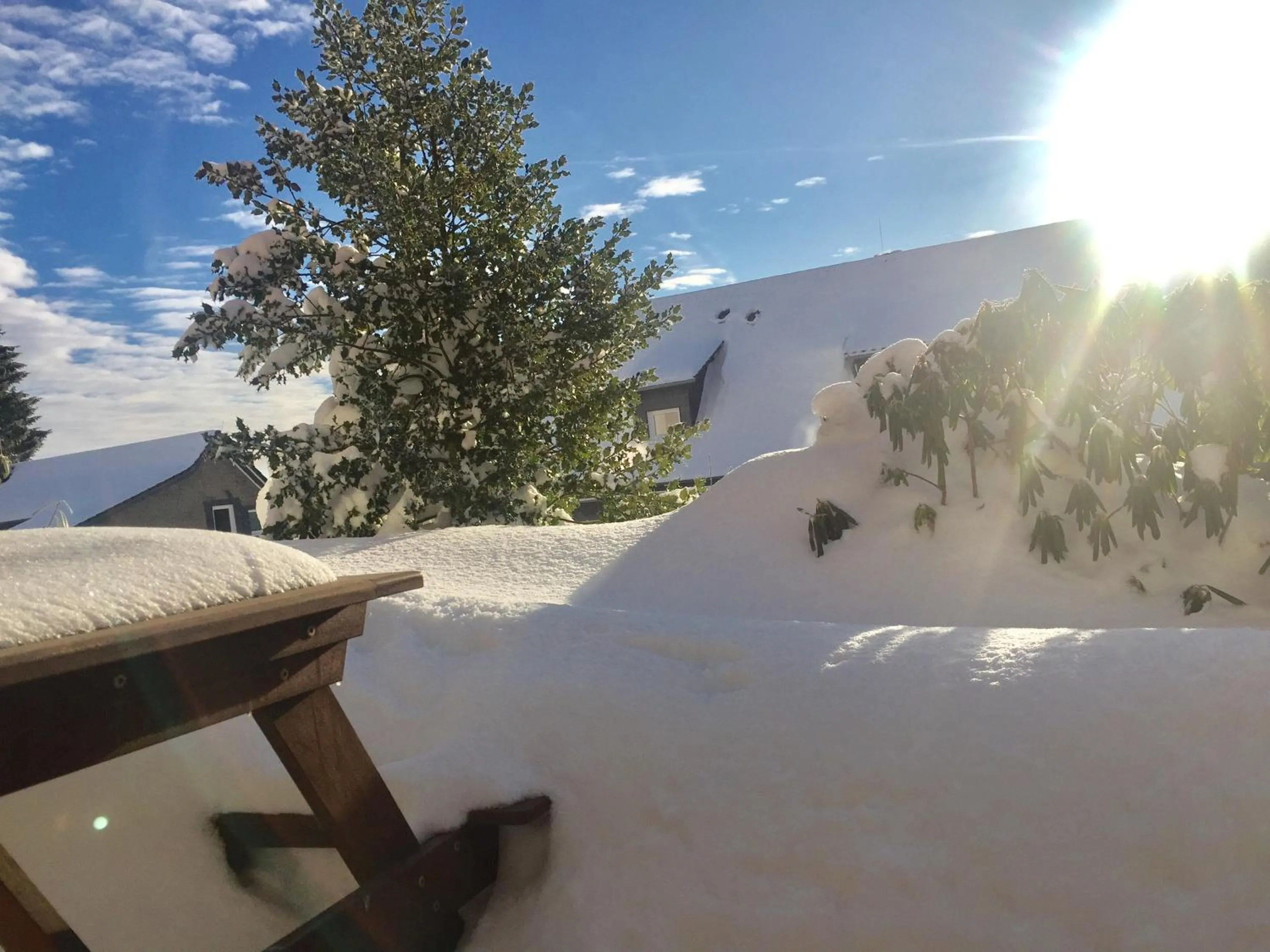 Garden view in Winterberger Lodge