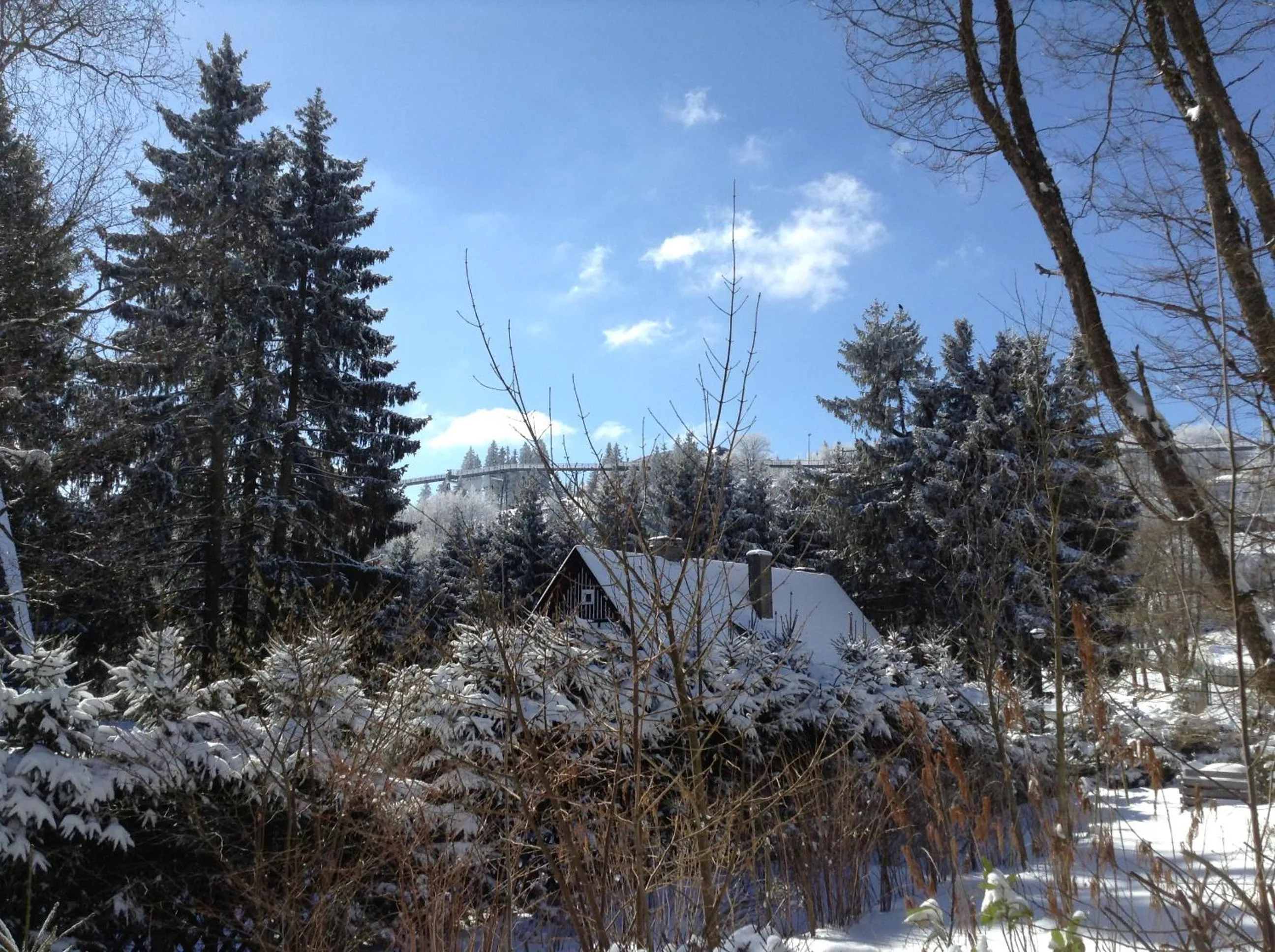 Natural landscape in Winterberger Lodge
