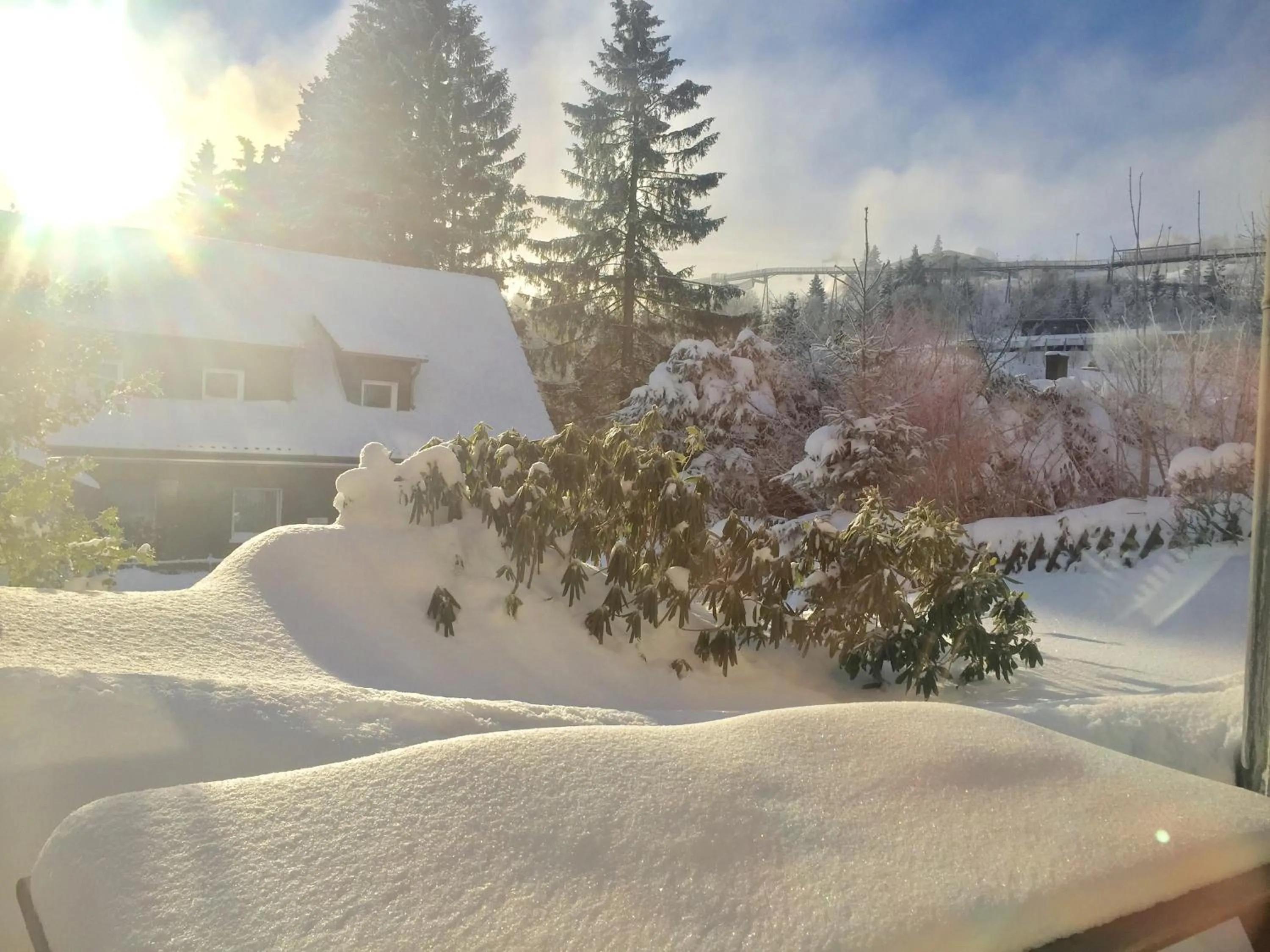 Garden view in Winterberger Lodge