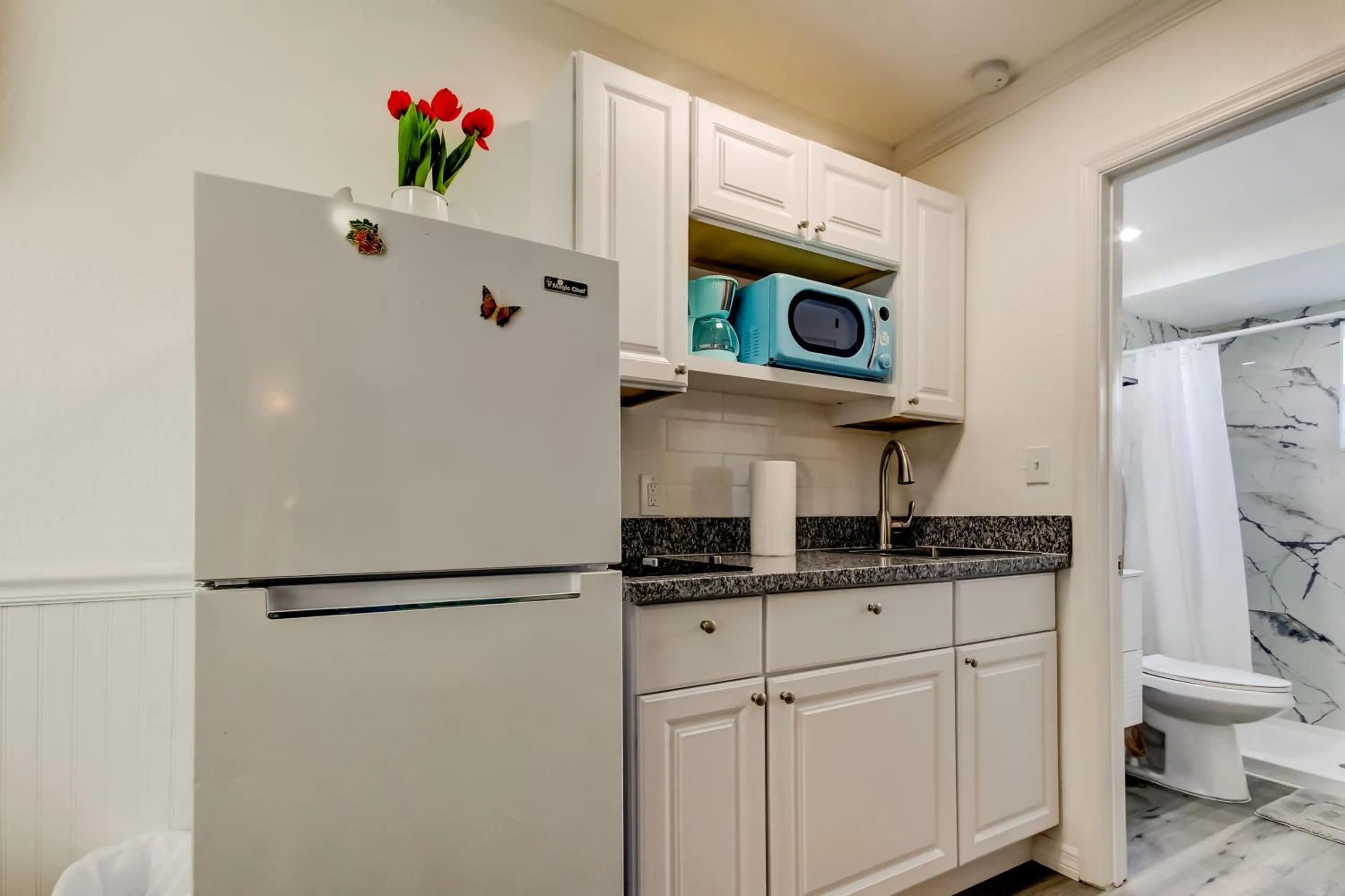 Carousel Suites -Redington Shores