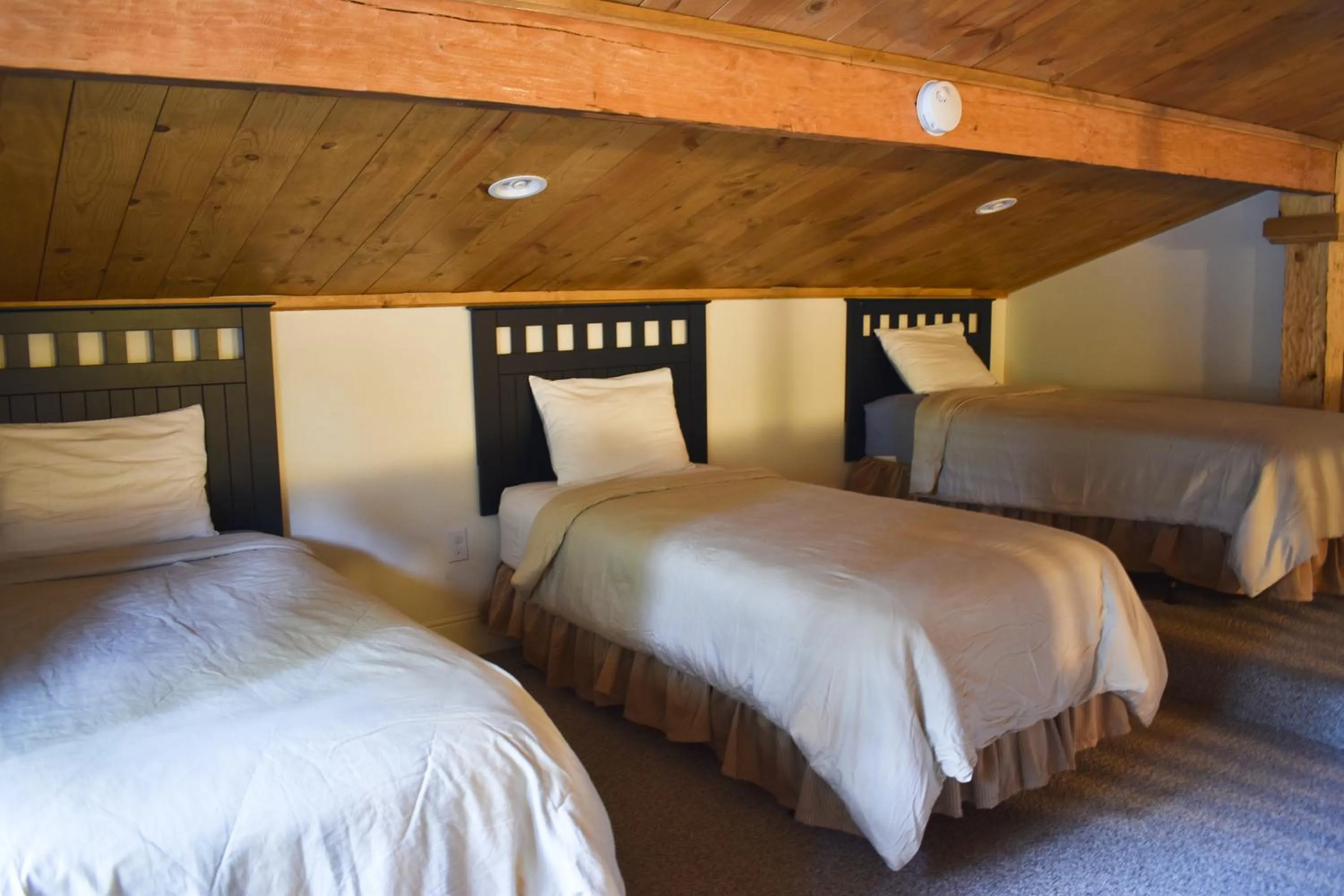 Bed in Exit Glacier Lodge