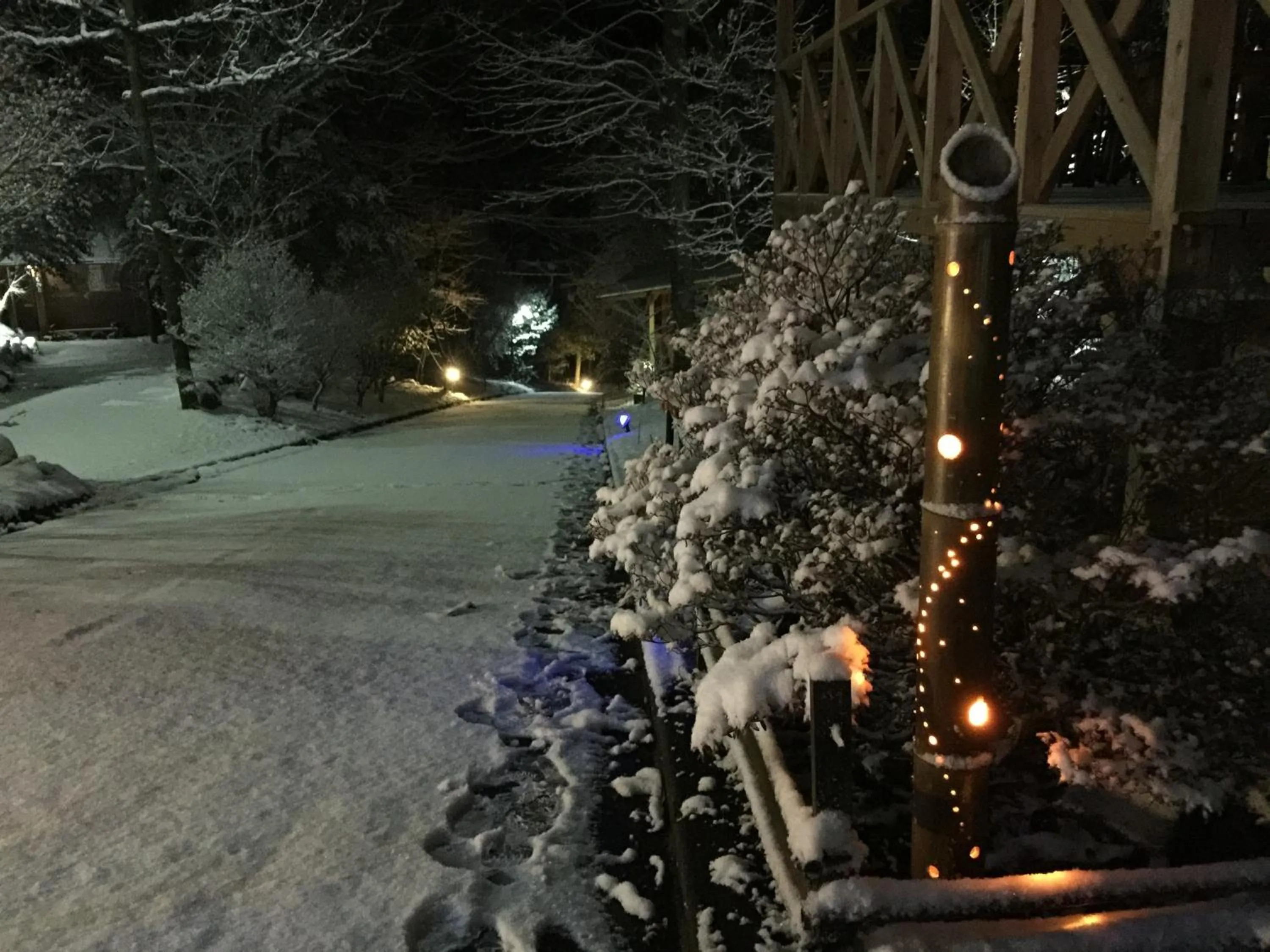 Property building in Kurasako Onsen Sakura