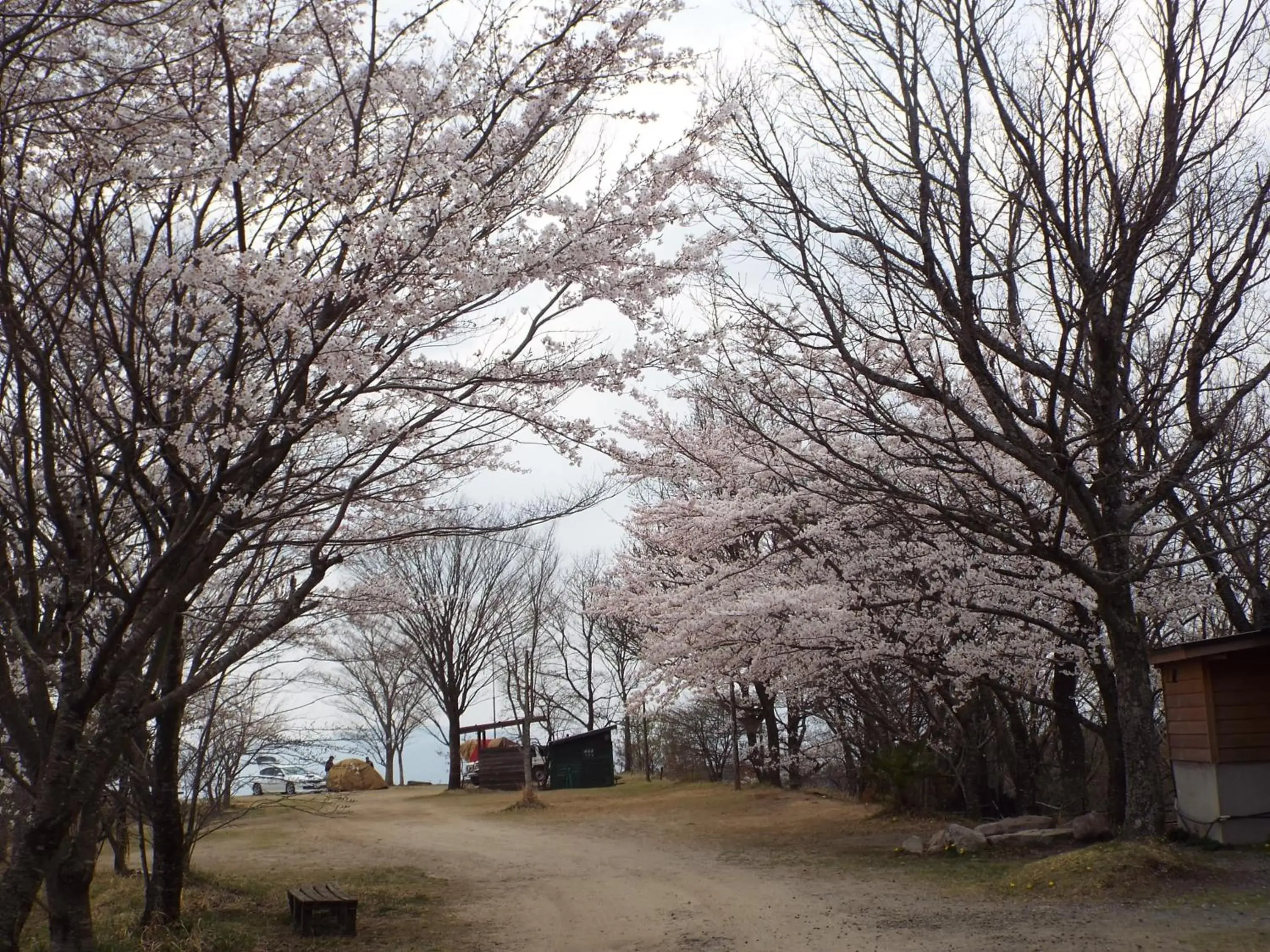 Other in Kurasako Onsen Sakura Other in Kurasako Onsen Sakura