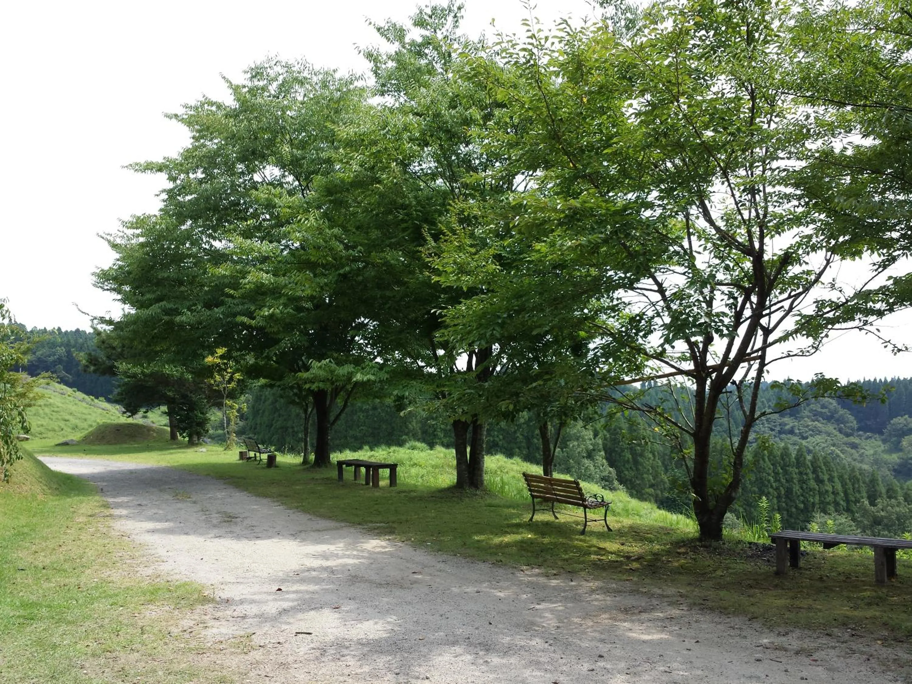 Natural landscape in Kurasako Onsen Sakura