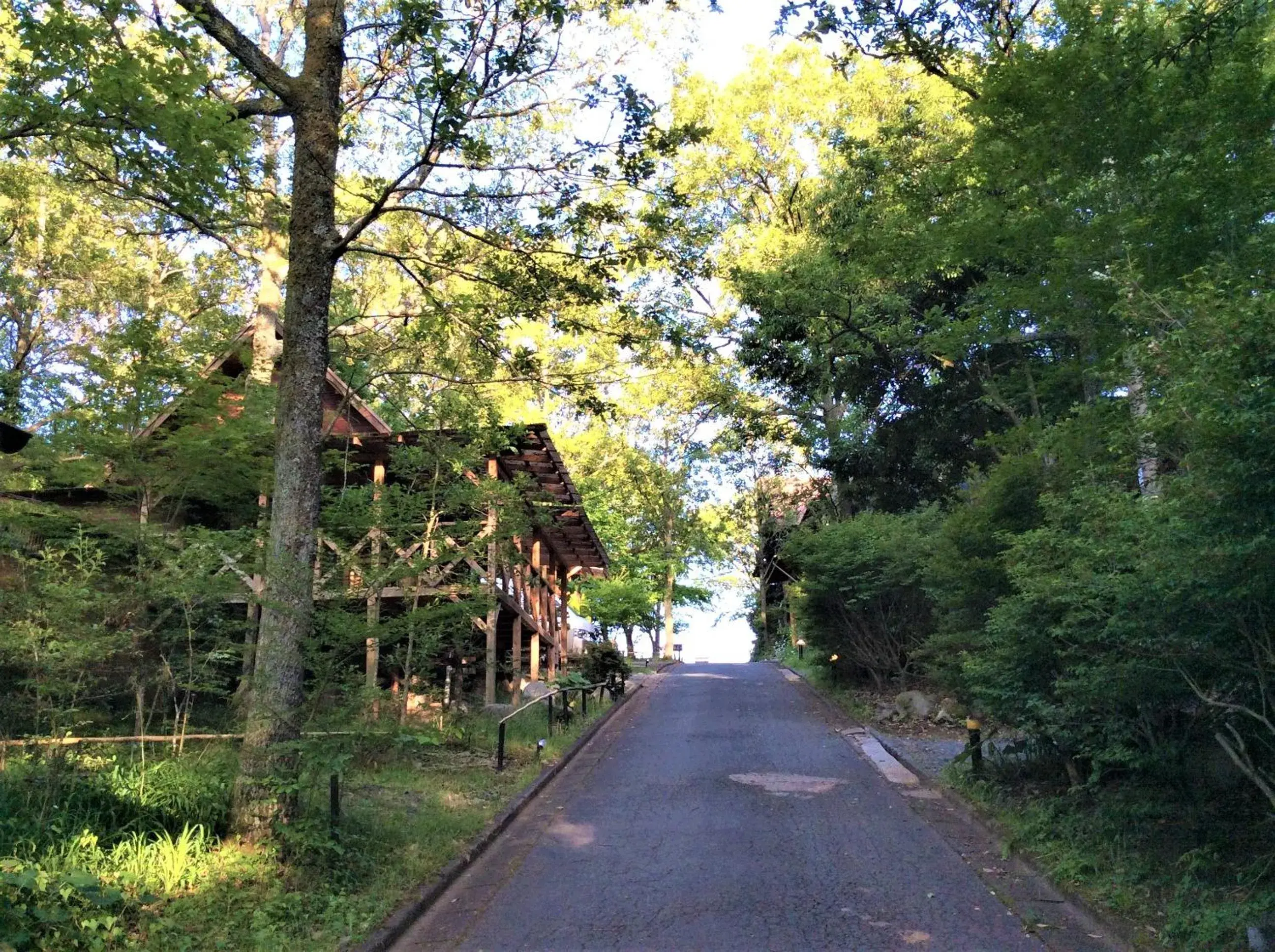 Property building in Kurasako Onsen Sakura Property building in Kurasako Onsen Sakura