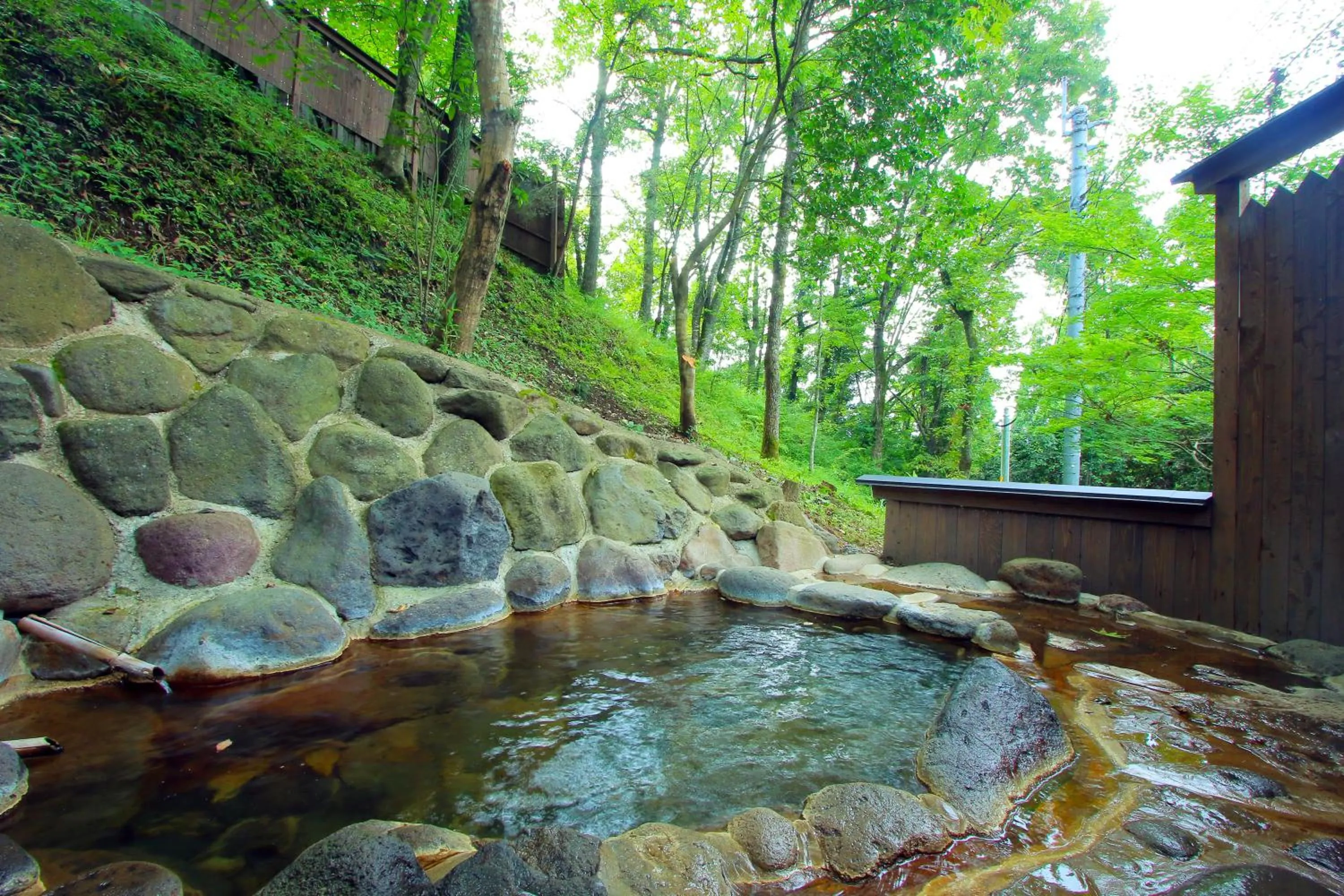 Kurasako Onsen Sakura