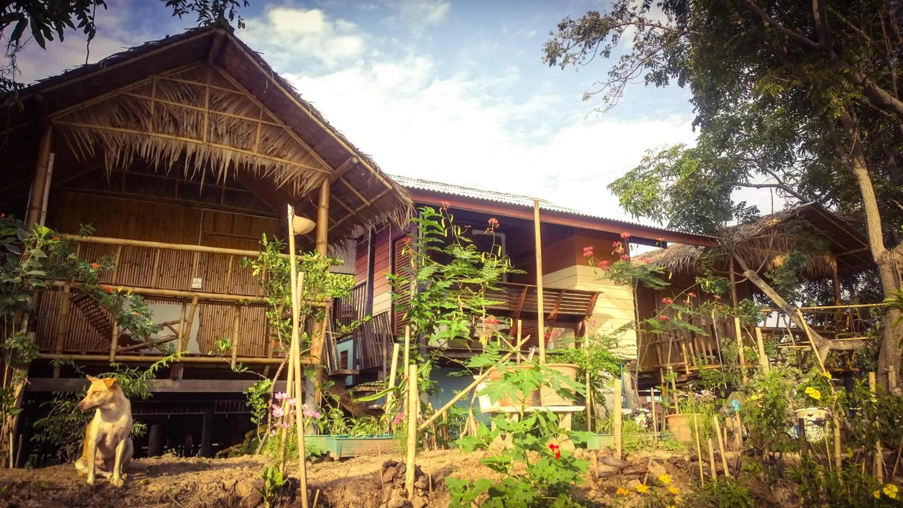 Property building in Cast Away