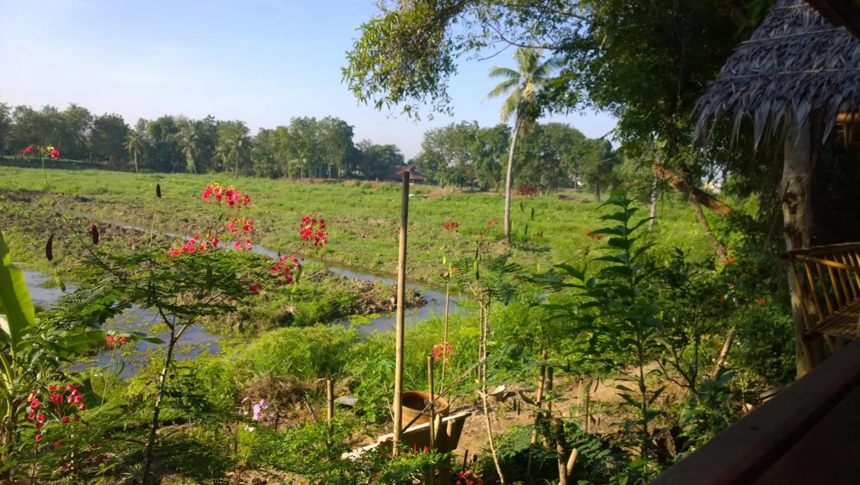 Garden in Cast Away