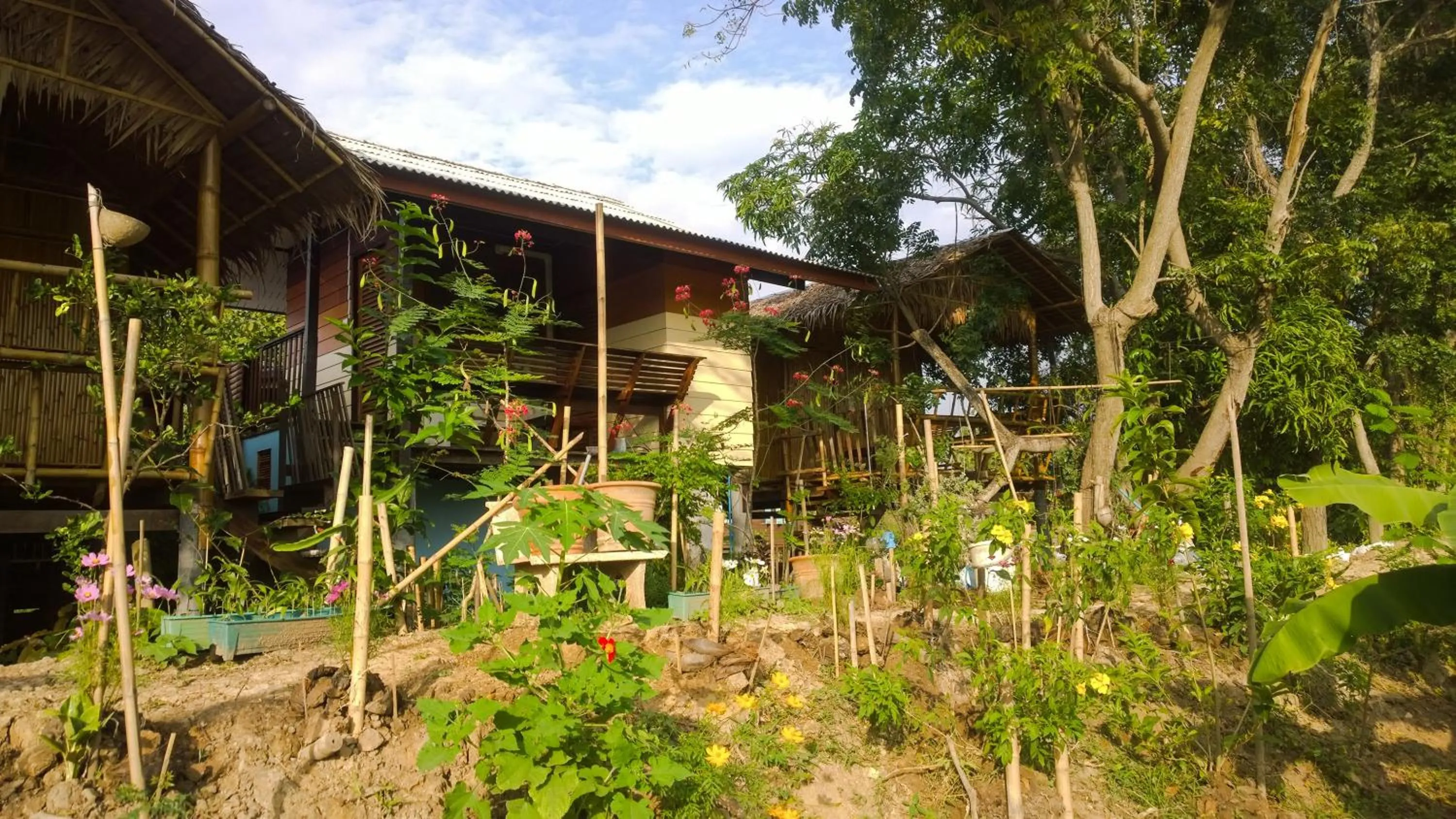 Property building in Cast Away