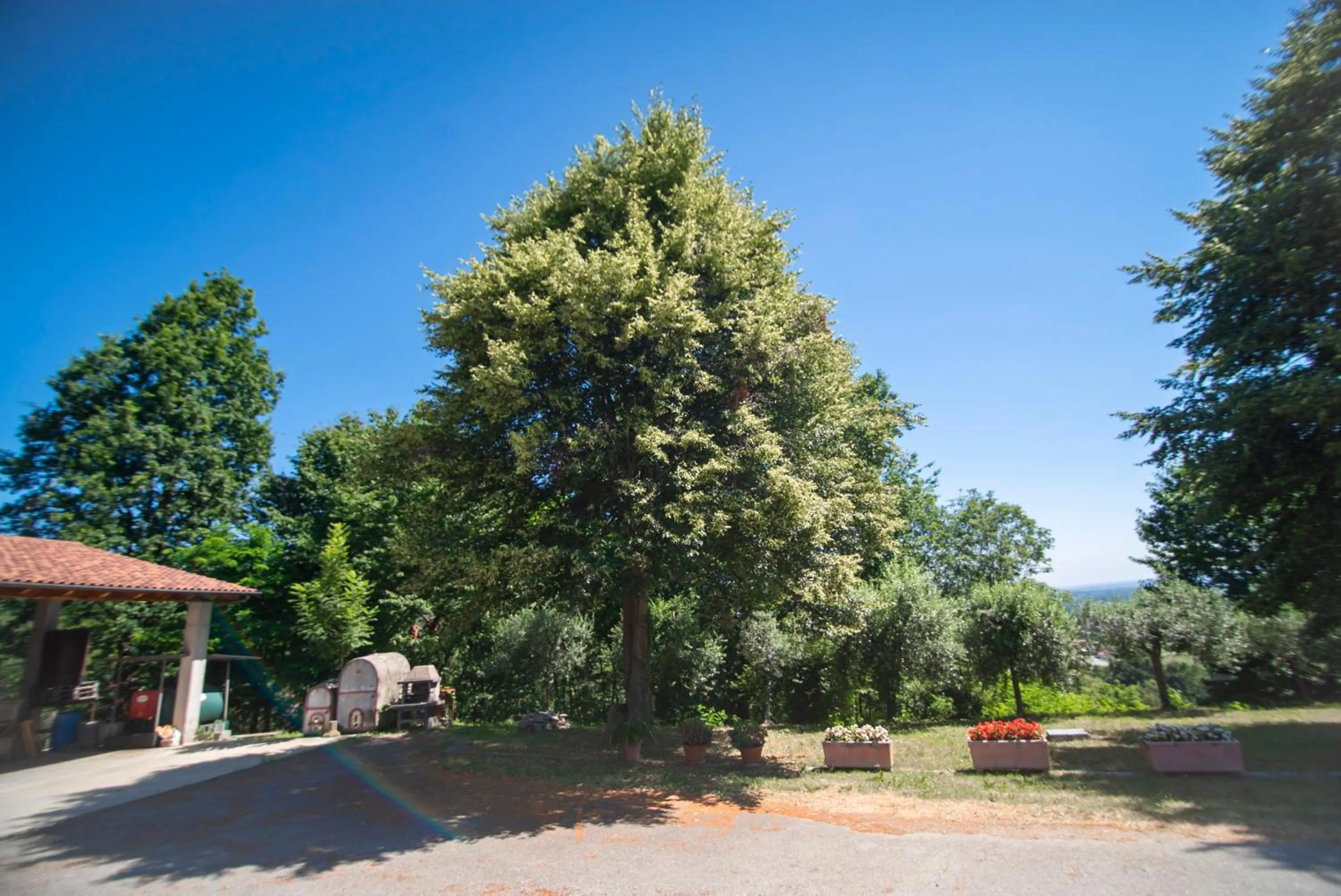 Garden in Agriturismo Turina