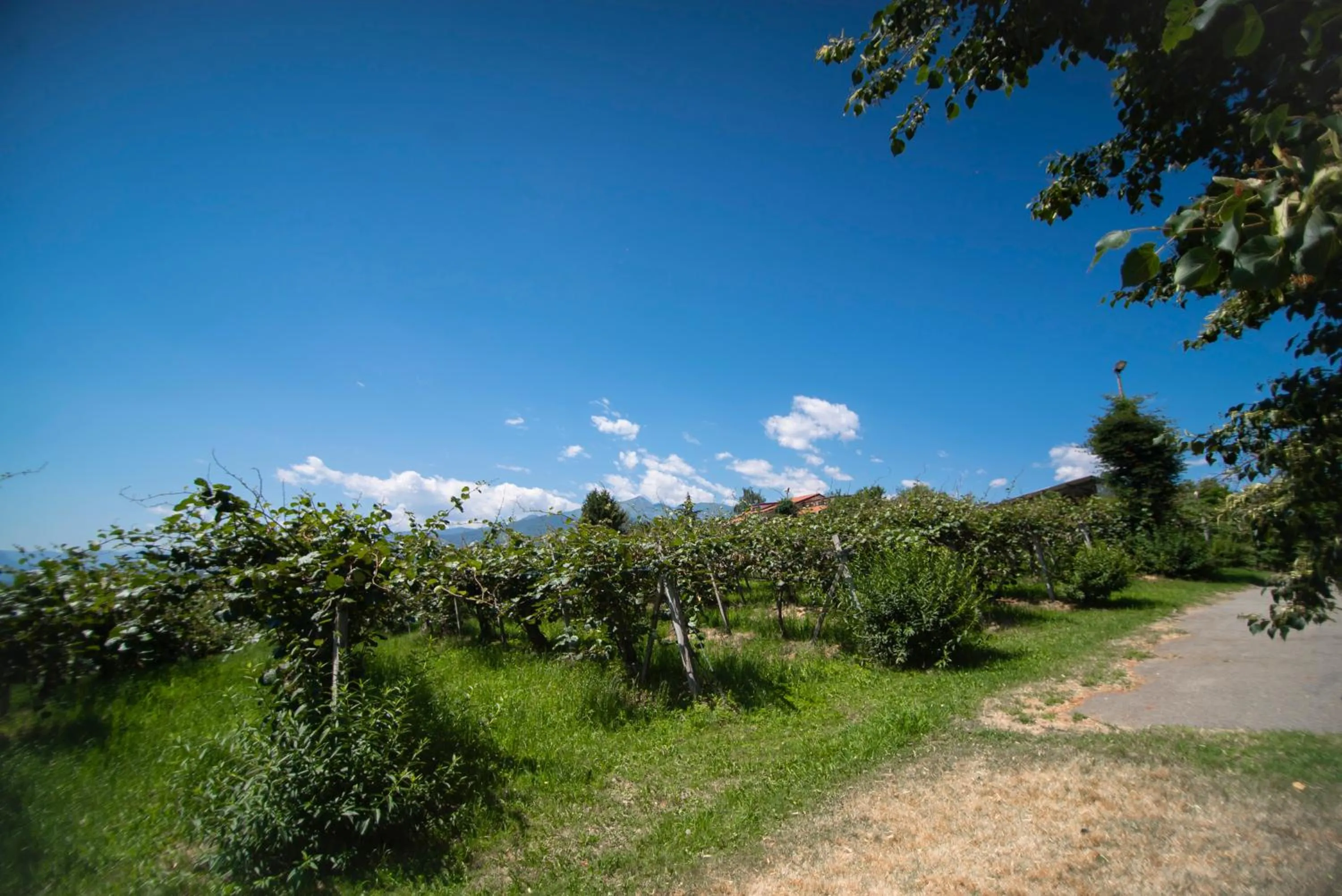 Natural landscape in Agriturismo Turina