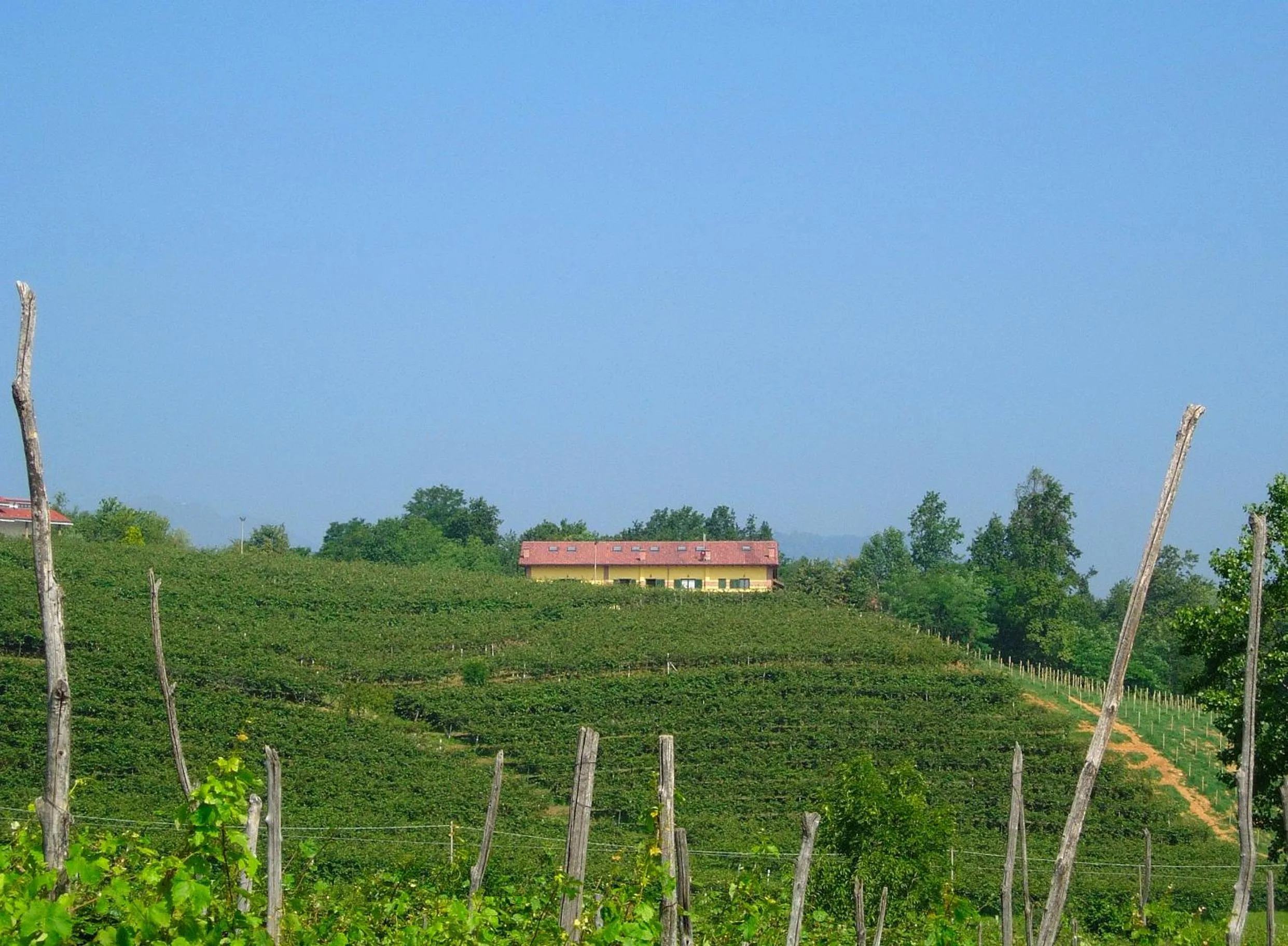 View (from property/room) in Agriturismo Turina
