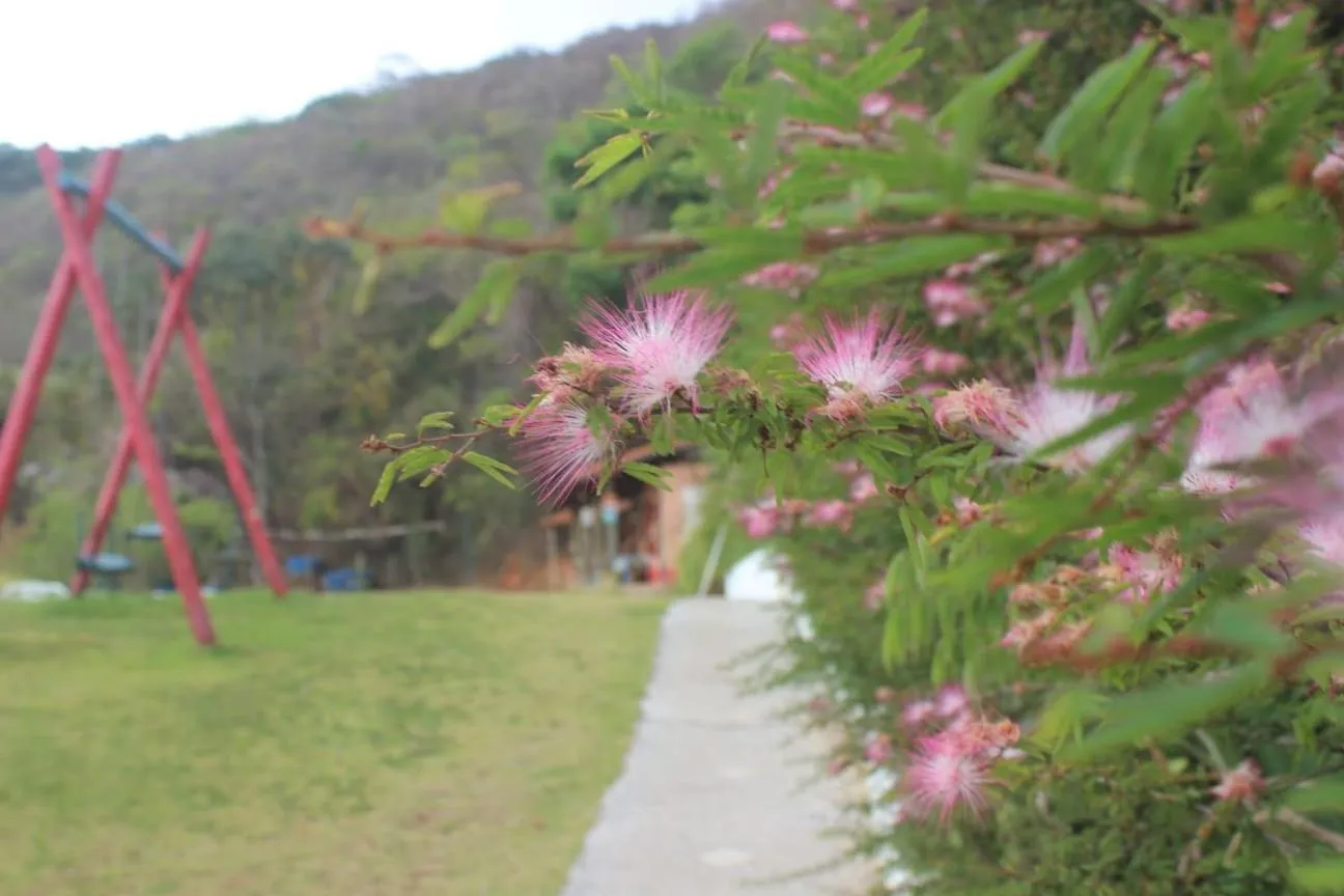 Property building in Pousada Spa Saúde Melhor