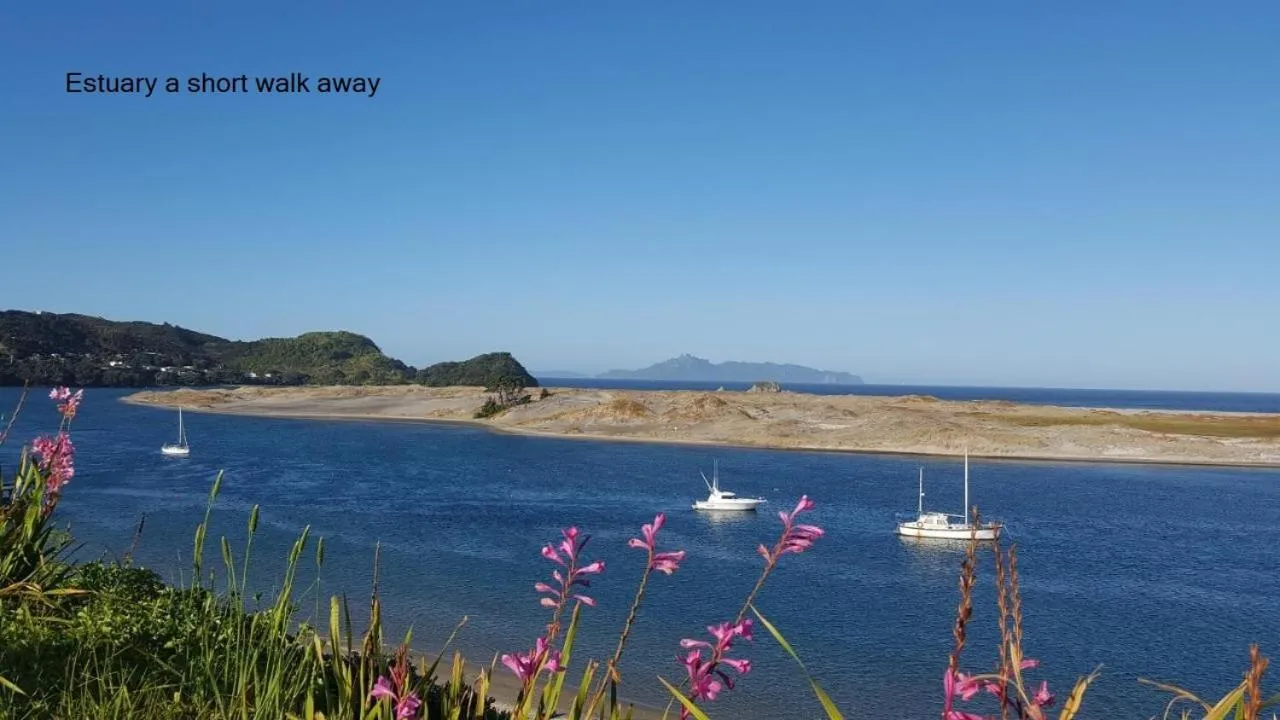 Cosy Mangawhai House