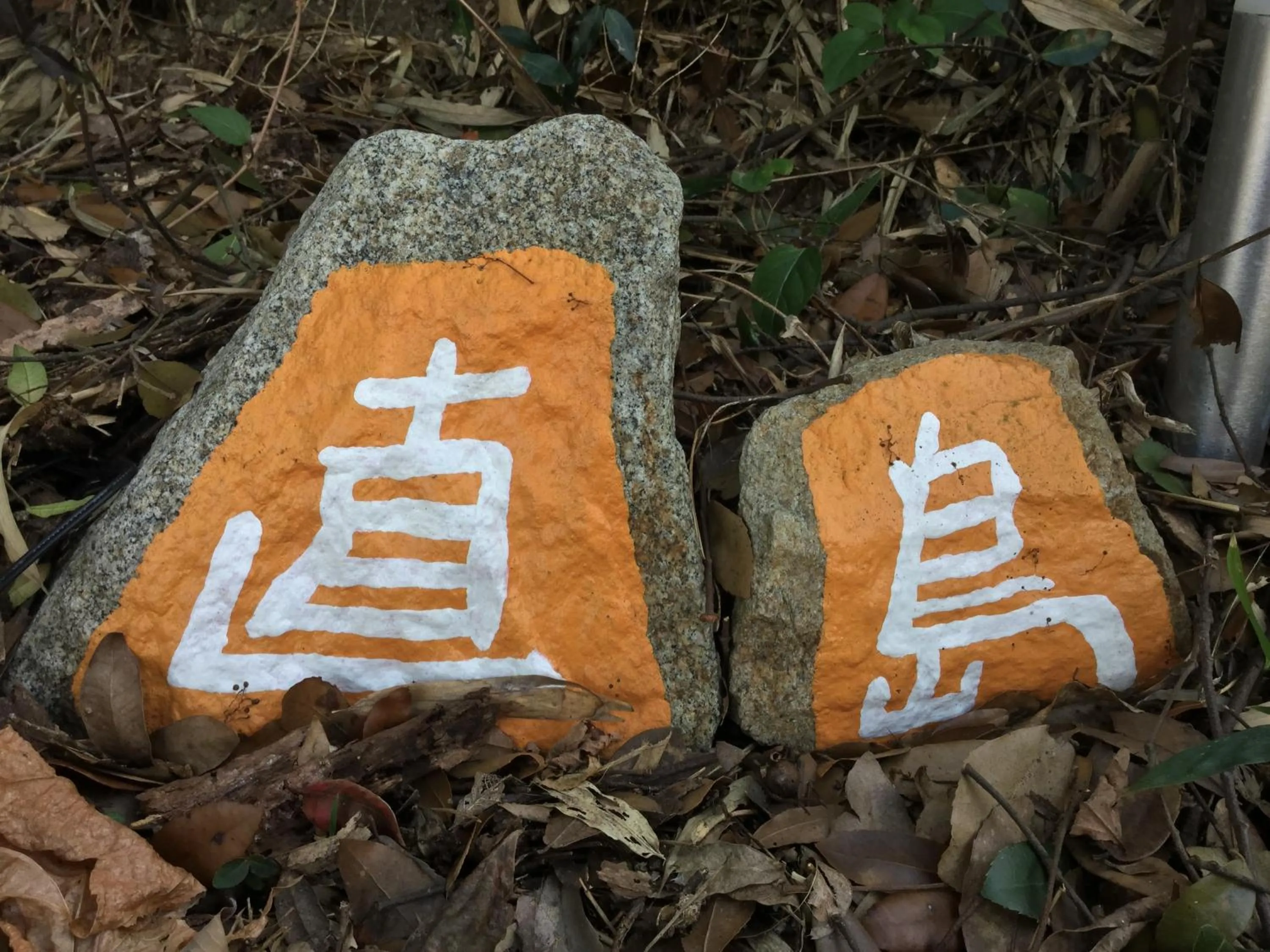 Property building in Bamboo Village Guest House