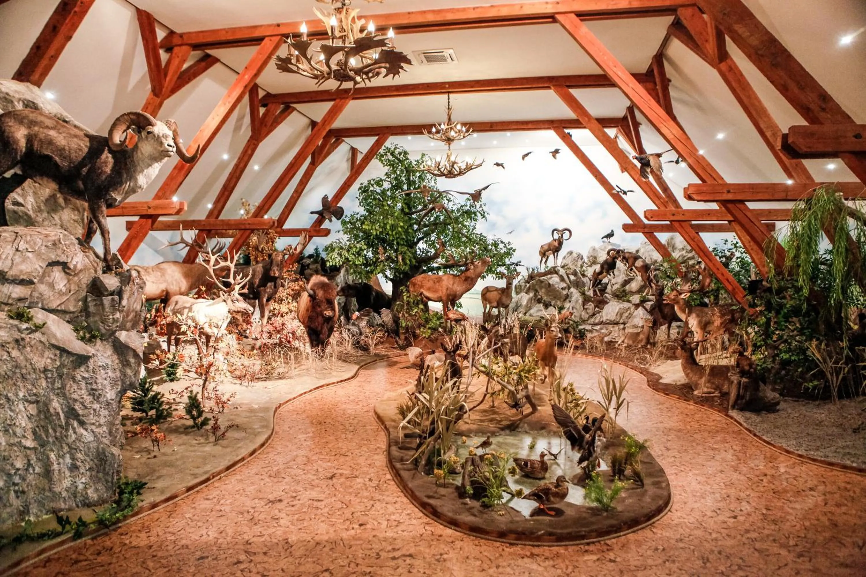 Activities in Hunor Hotel és Étterem