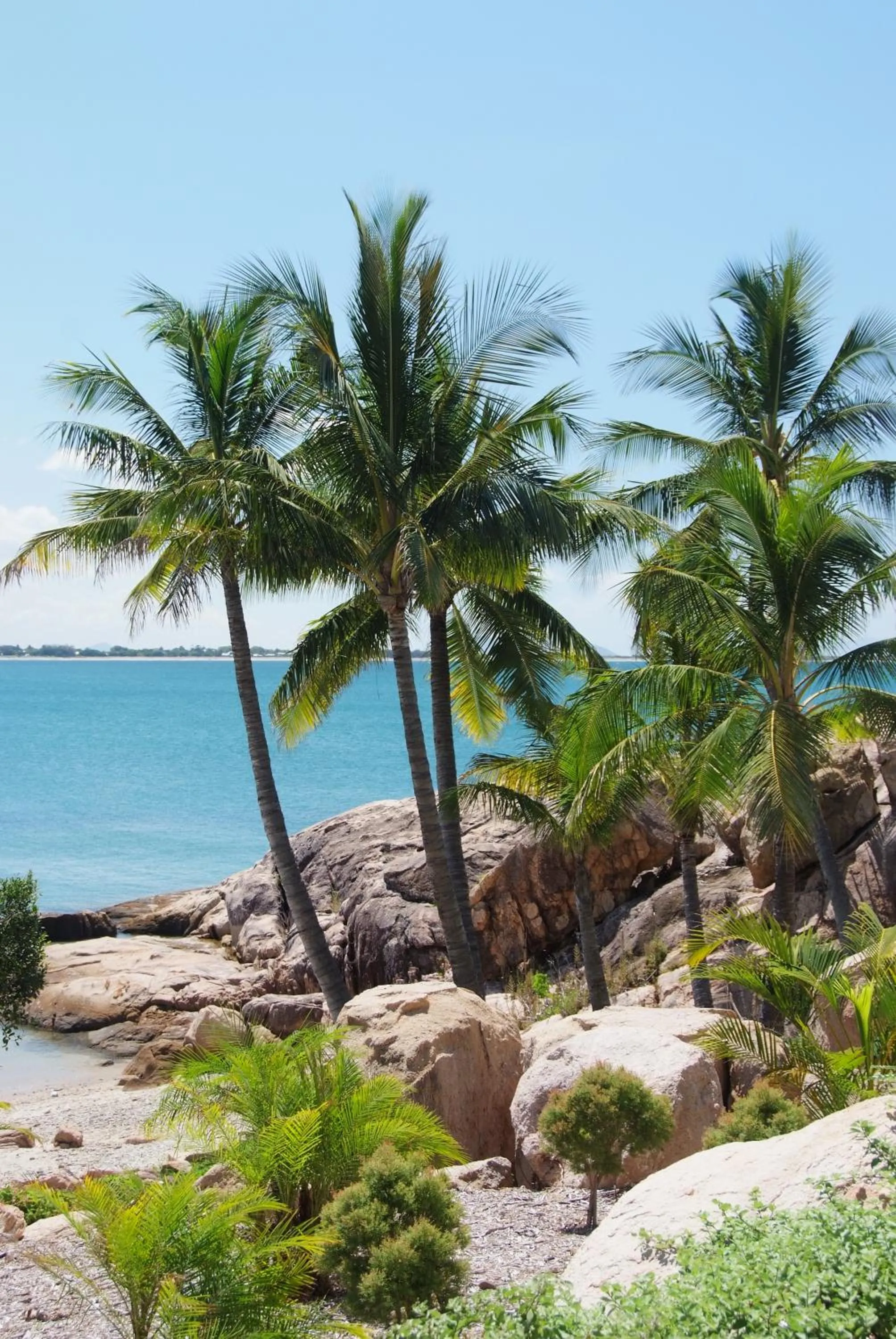 Natural landscape in Coral Cove Apartments - Absolute Beachfront Resort Bowen