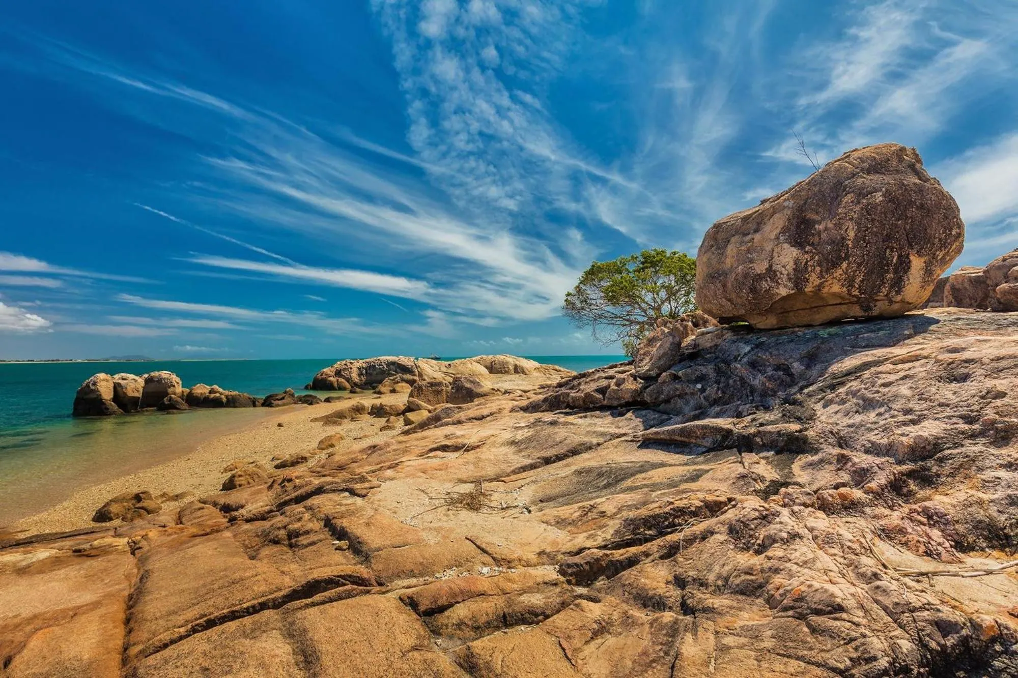 Natural landscape in Coral Cove Apartments - Absolute Beachfront Resort Bowen