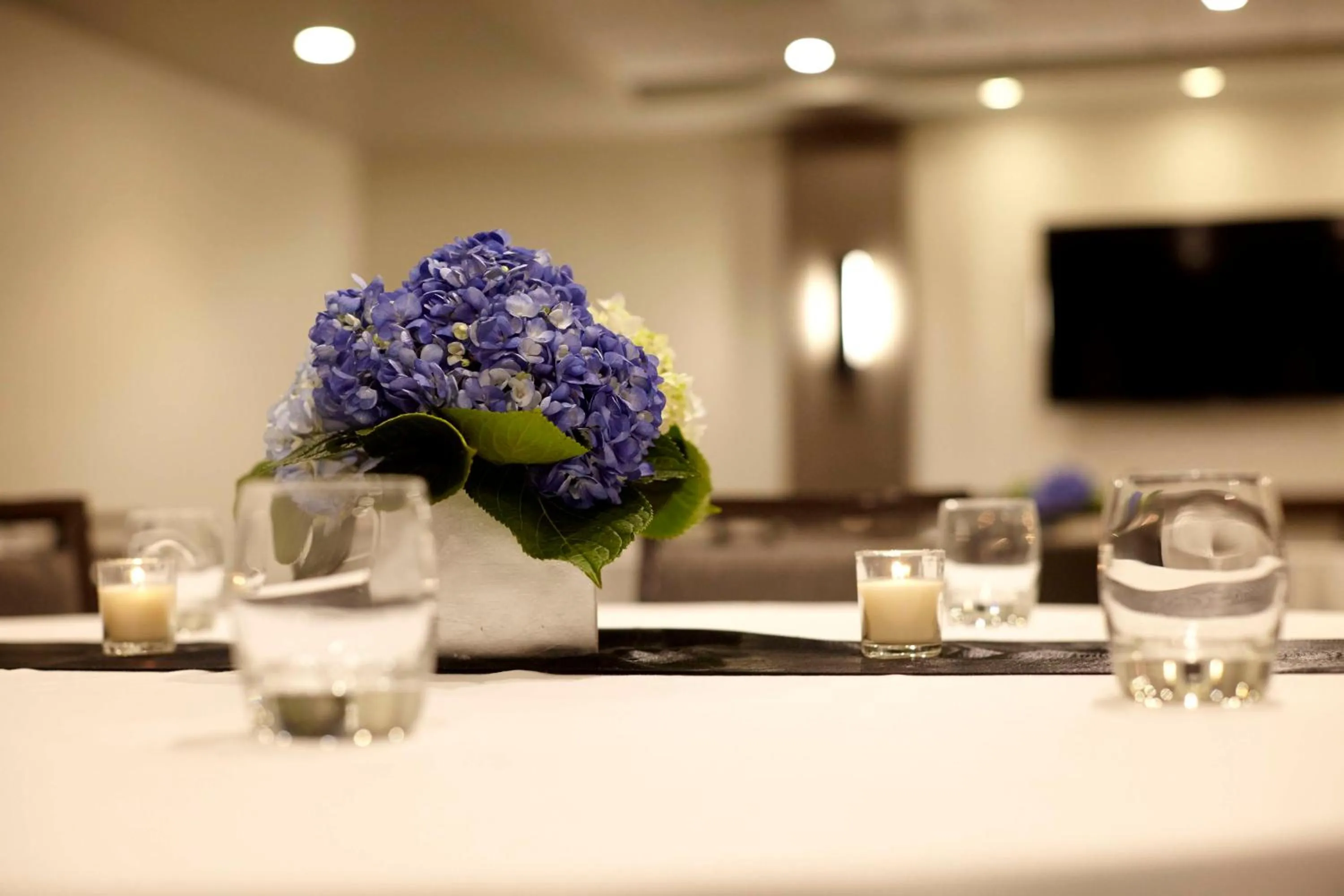 Meeting/conference room in Hyatt Place Madison/Verona