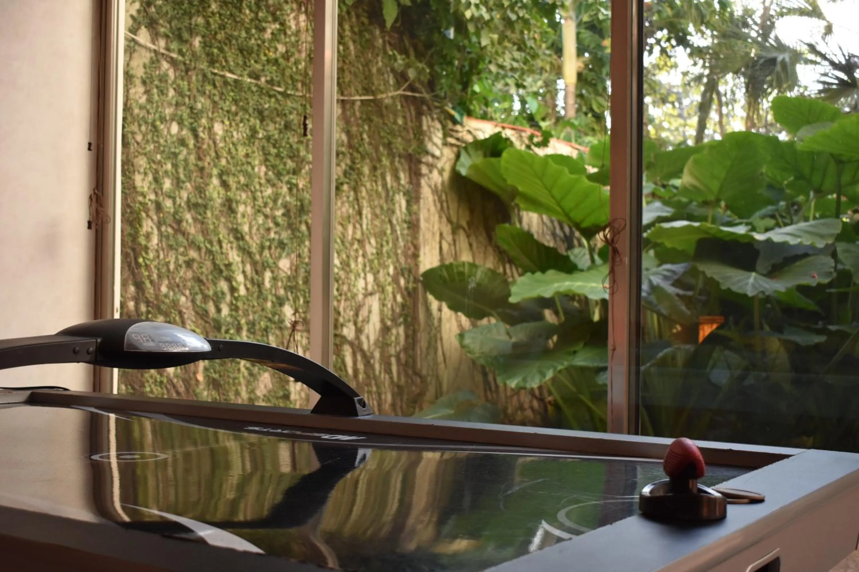 Garden view in Casa la Selva