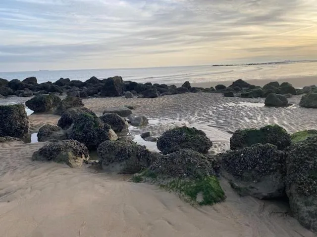 Natural landscape in Hotel Villa Verdi