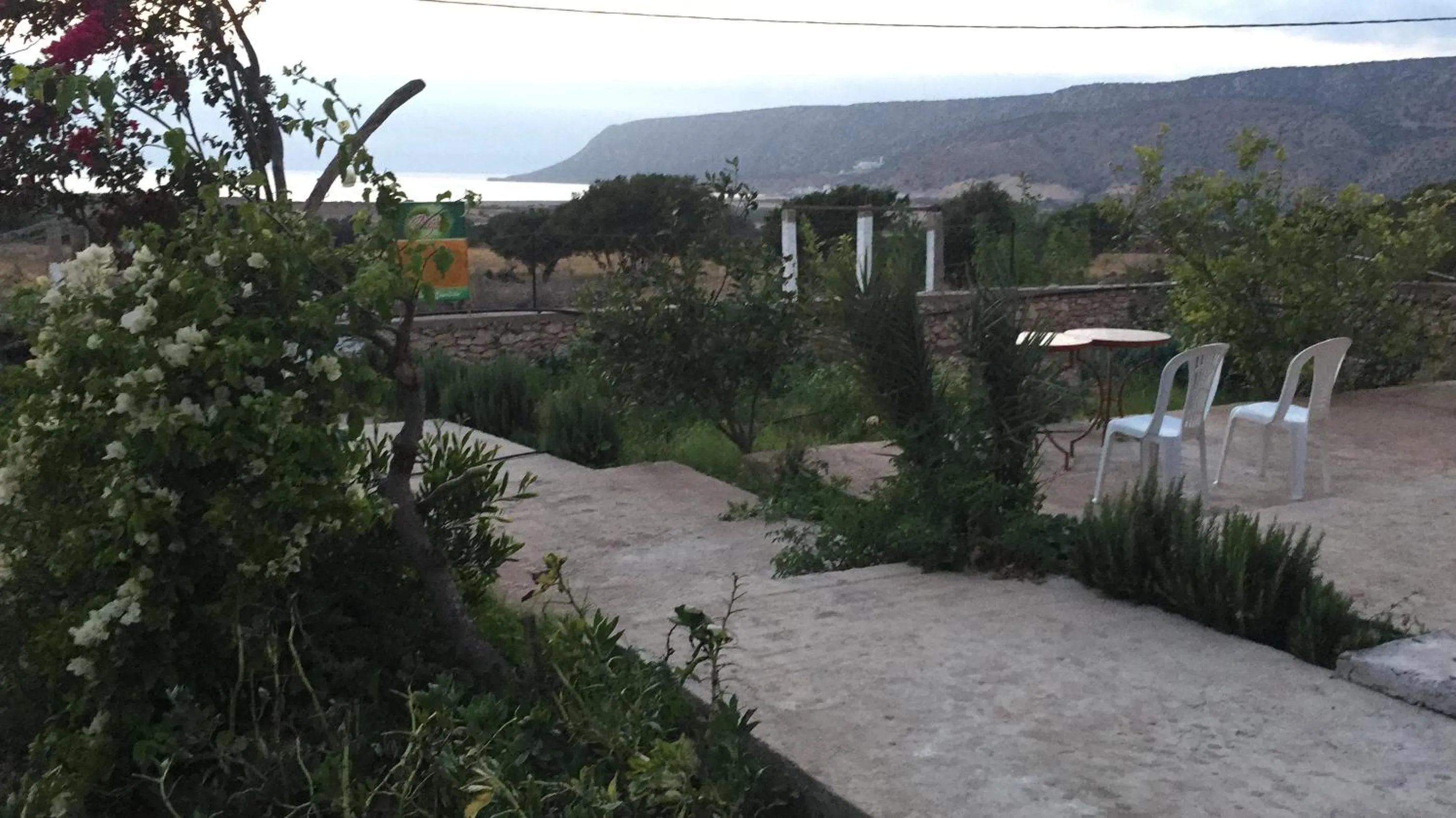 Garden in Aziki