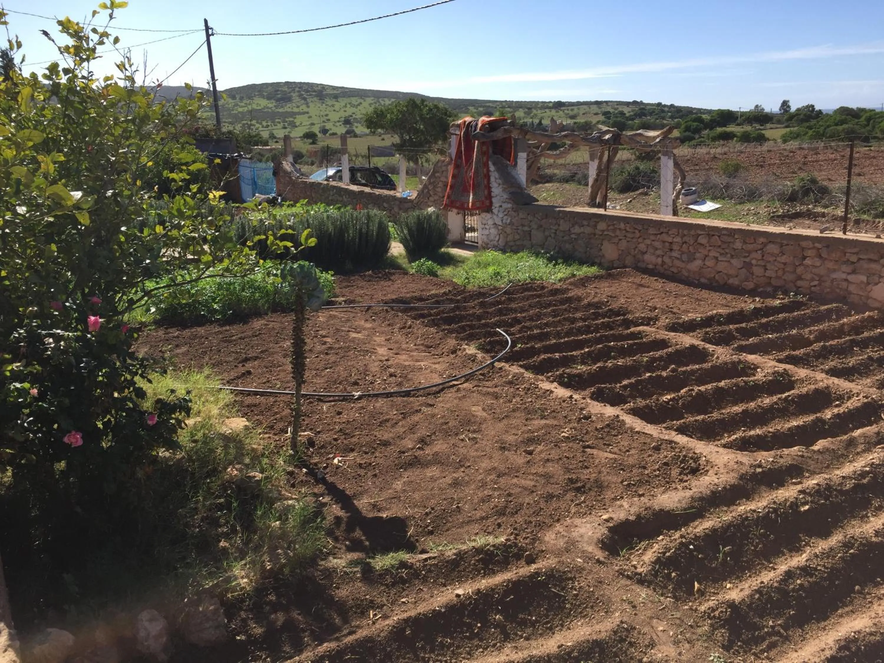 Garden in Aziki