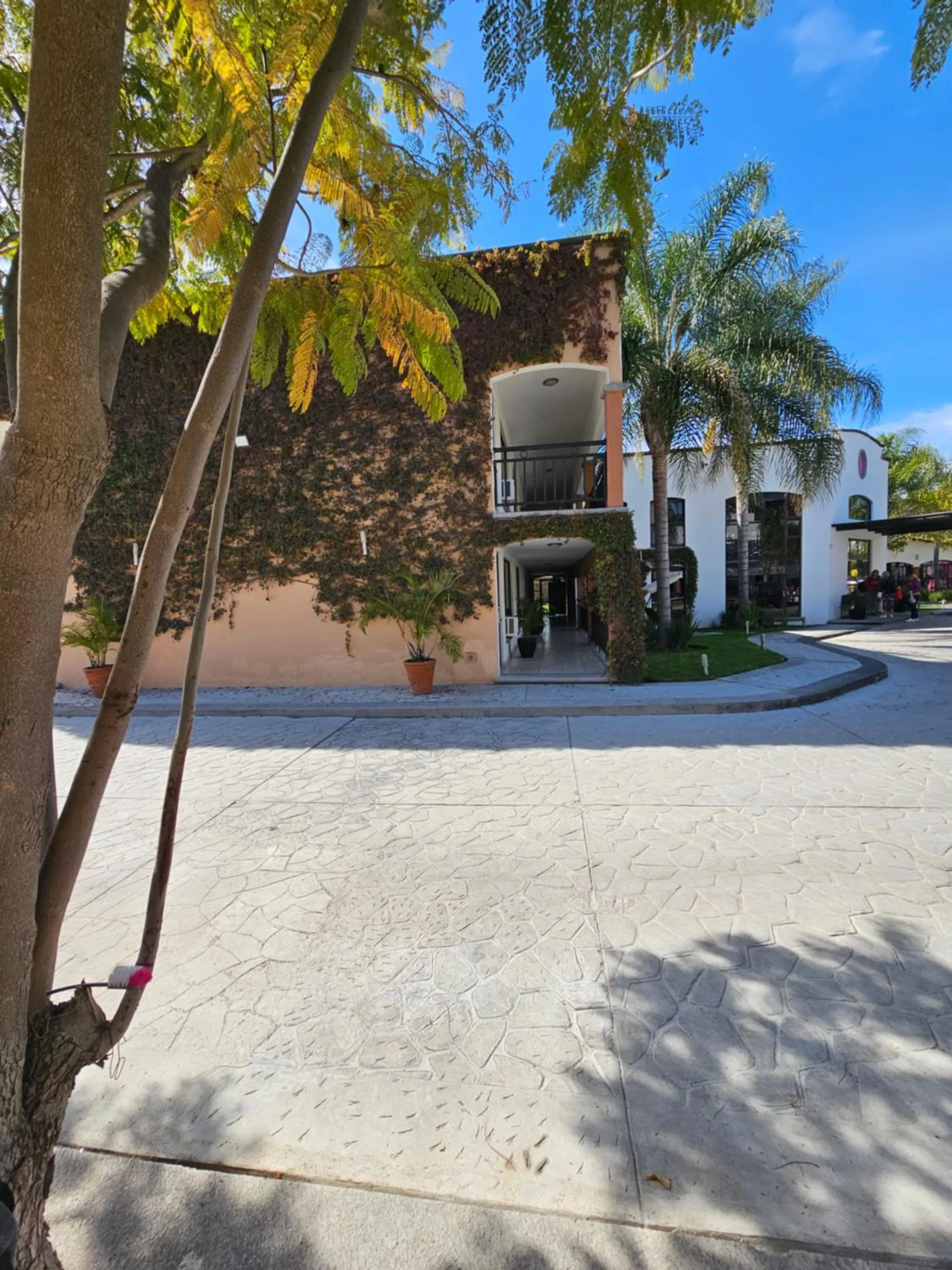 Hotel Ejecutivo Aeropuerto