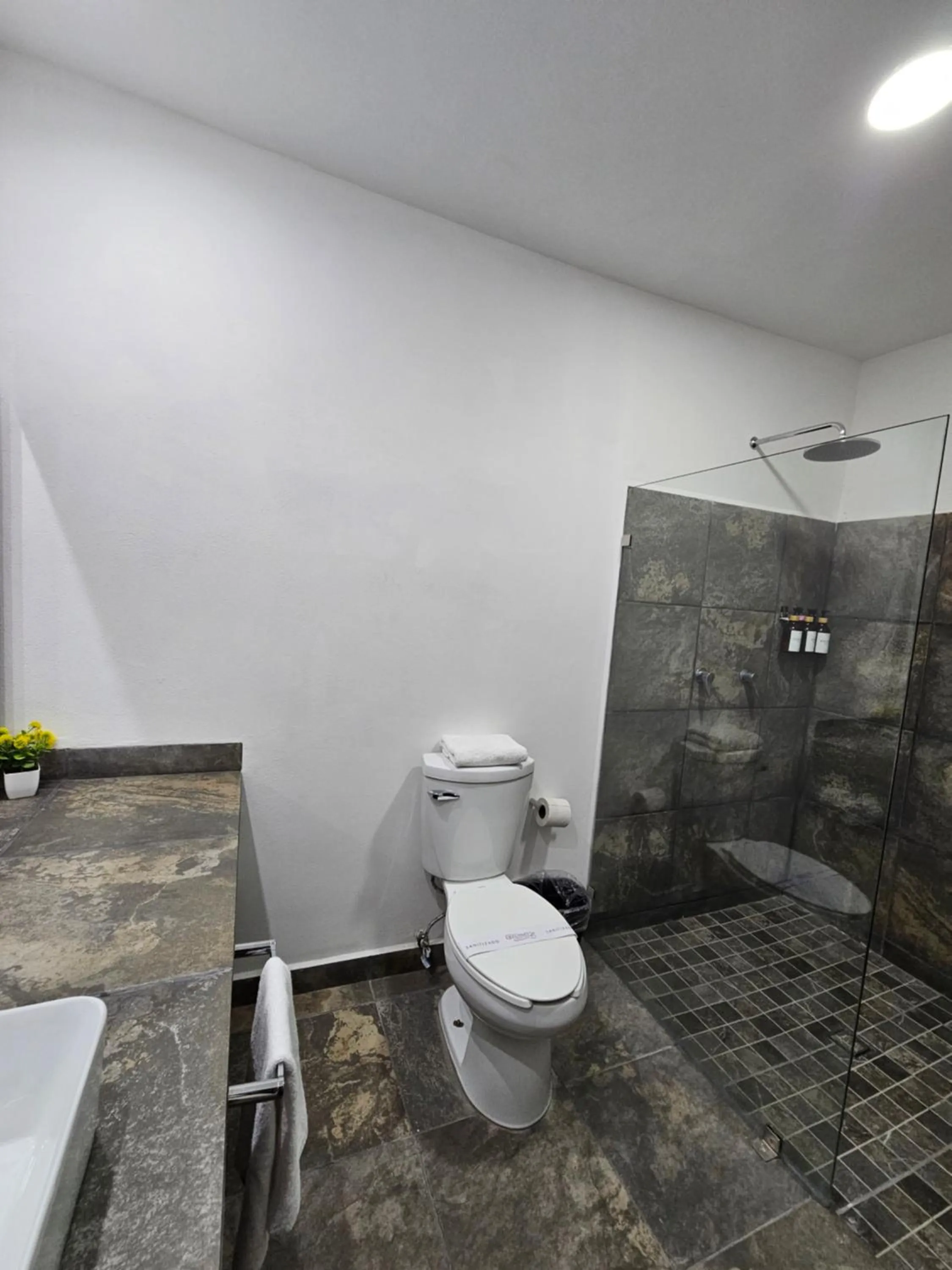 Hotel Ejecutivo Aeropuerto