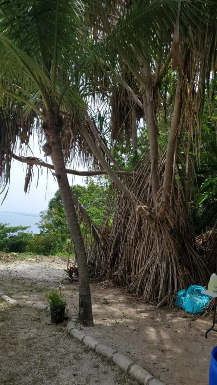 Natural landscape in Boutique B&B at Stone Village