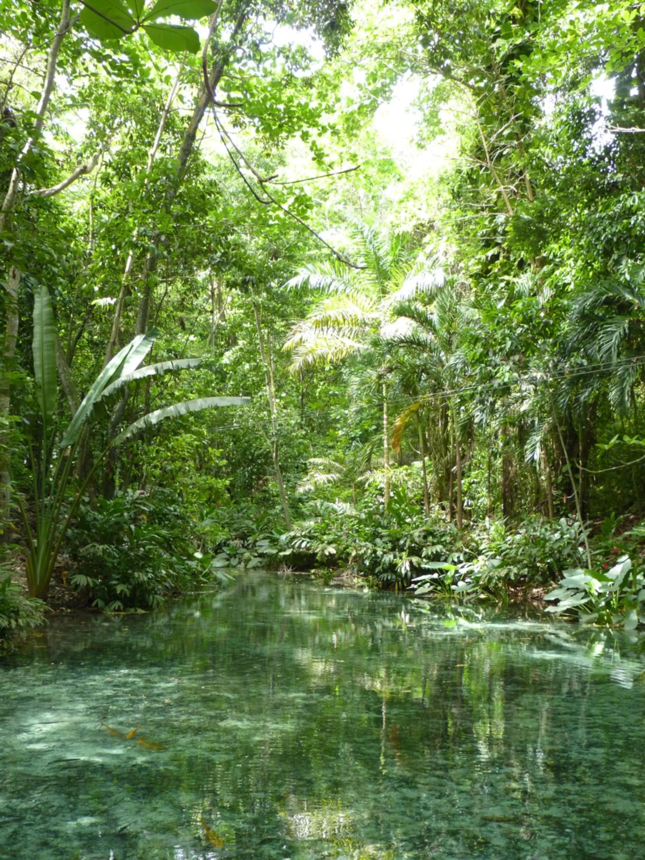 Hiking in Boutique B&B at Stone Village