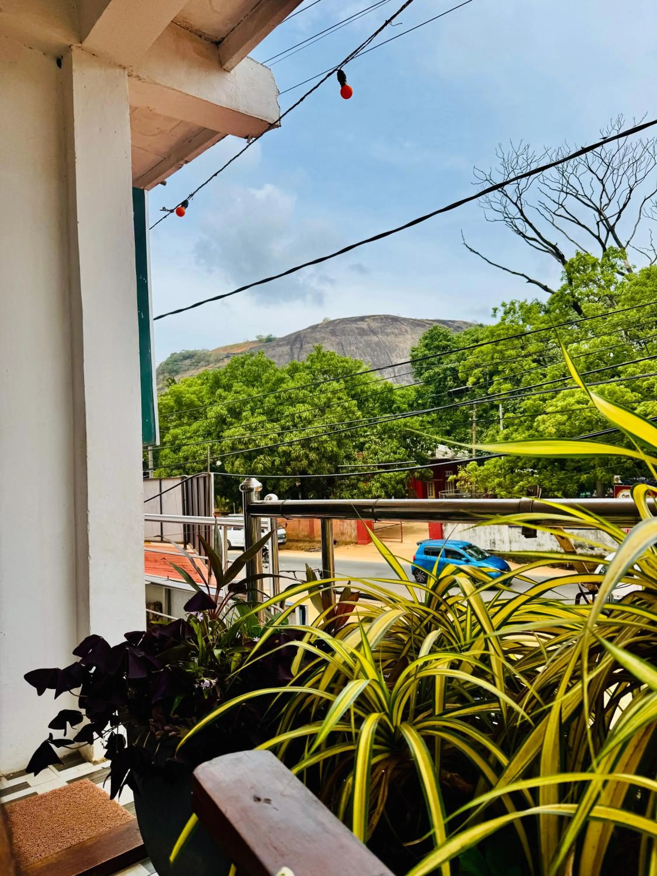 Dambulla Tourist Resort