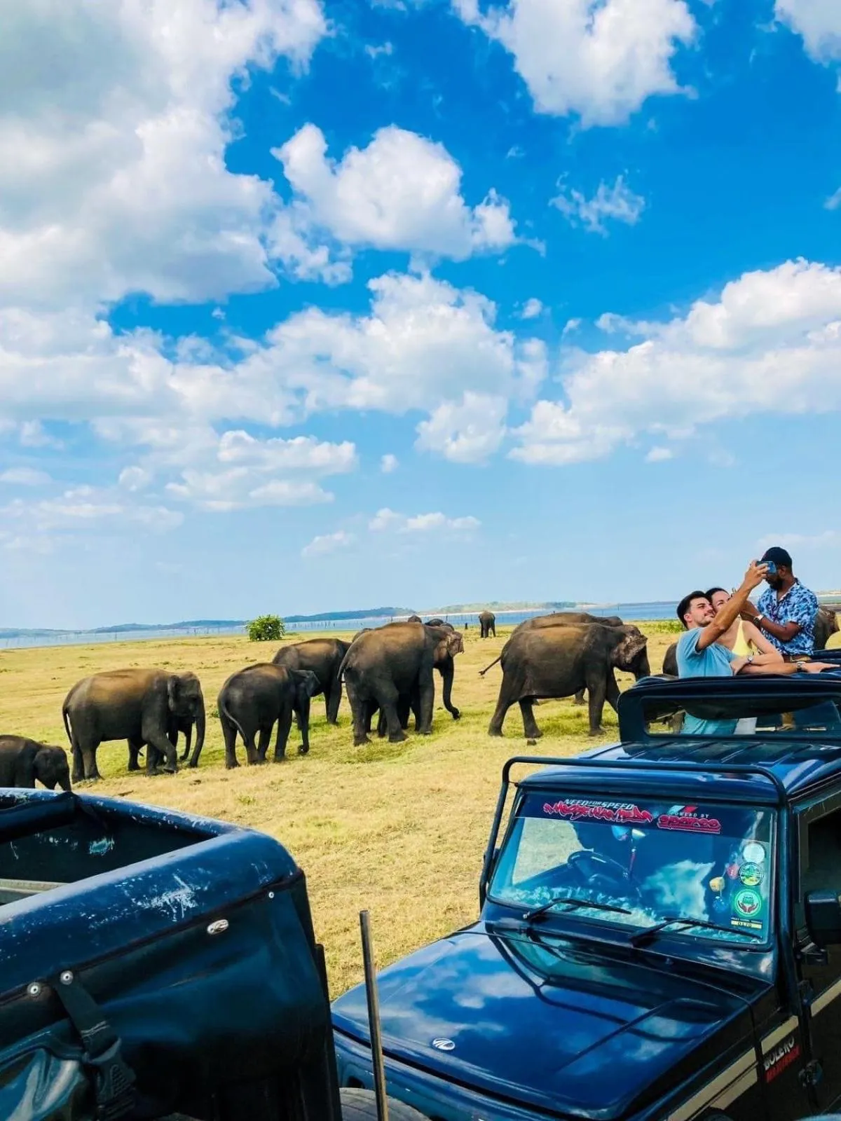 Dambulla Tourist Resort