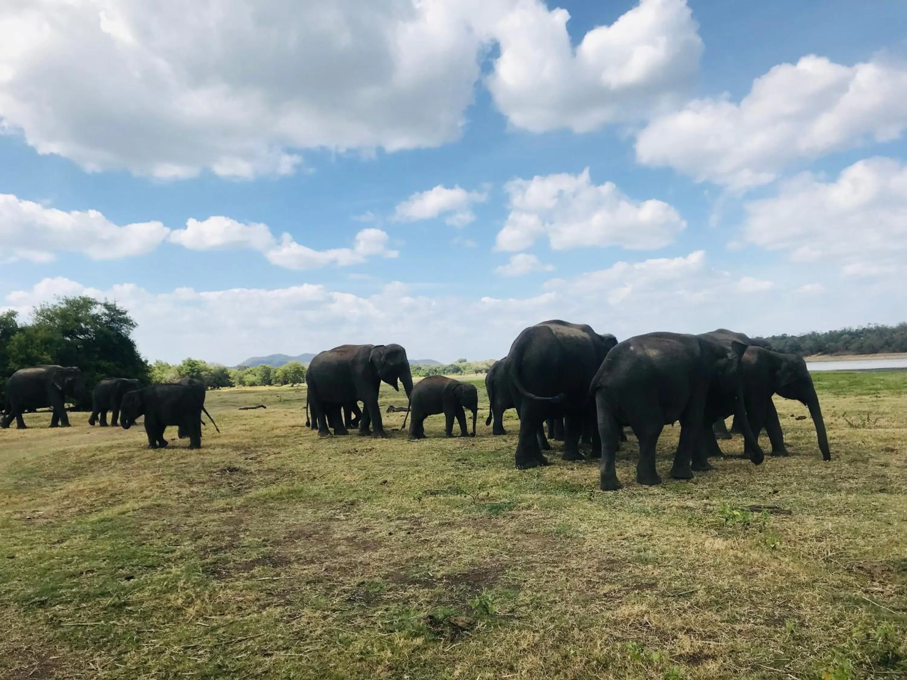 Dambulla Tourist Resort