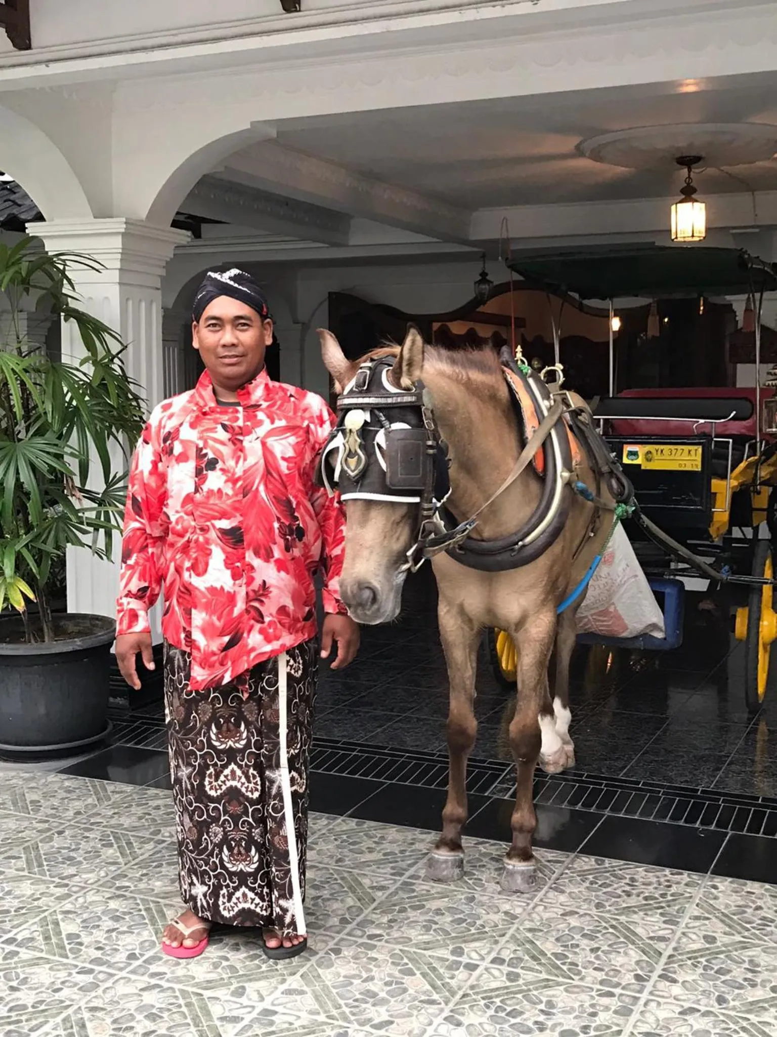 Entertainment in Raintree Boutique Villa & Gallery