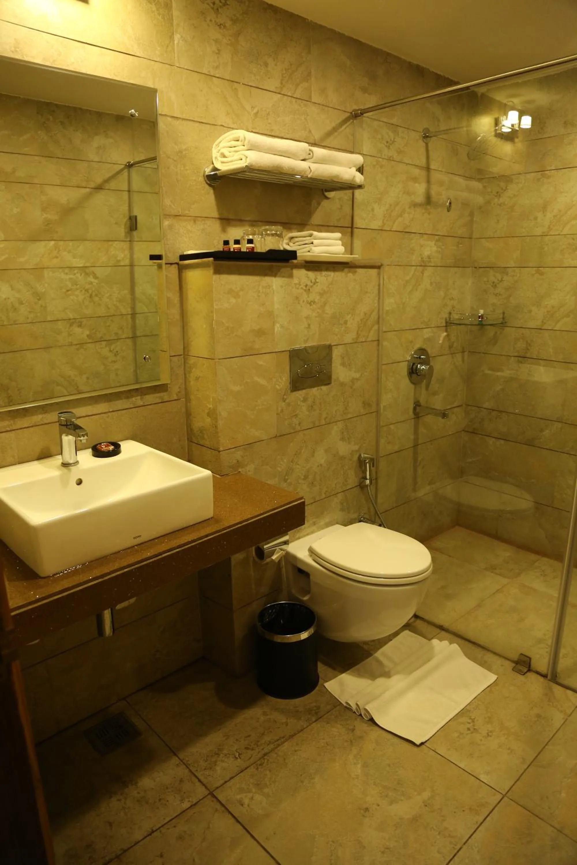 Bathroom in Ana Clarks Inn, Panchkula