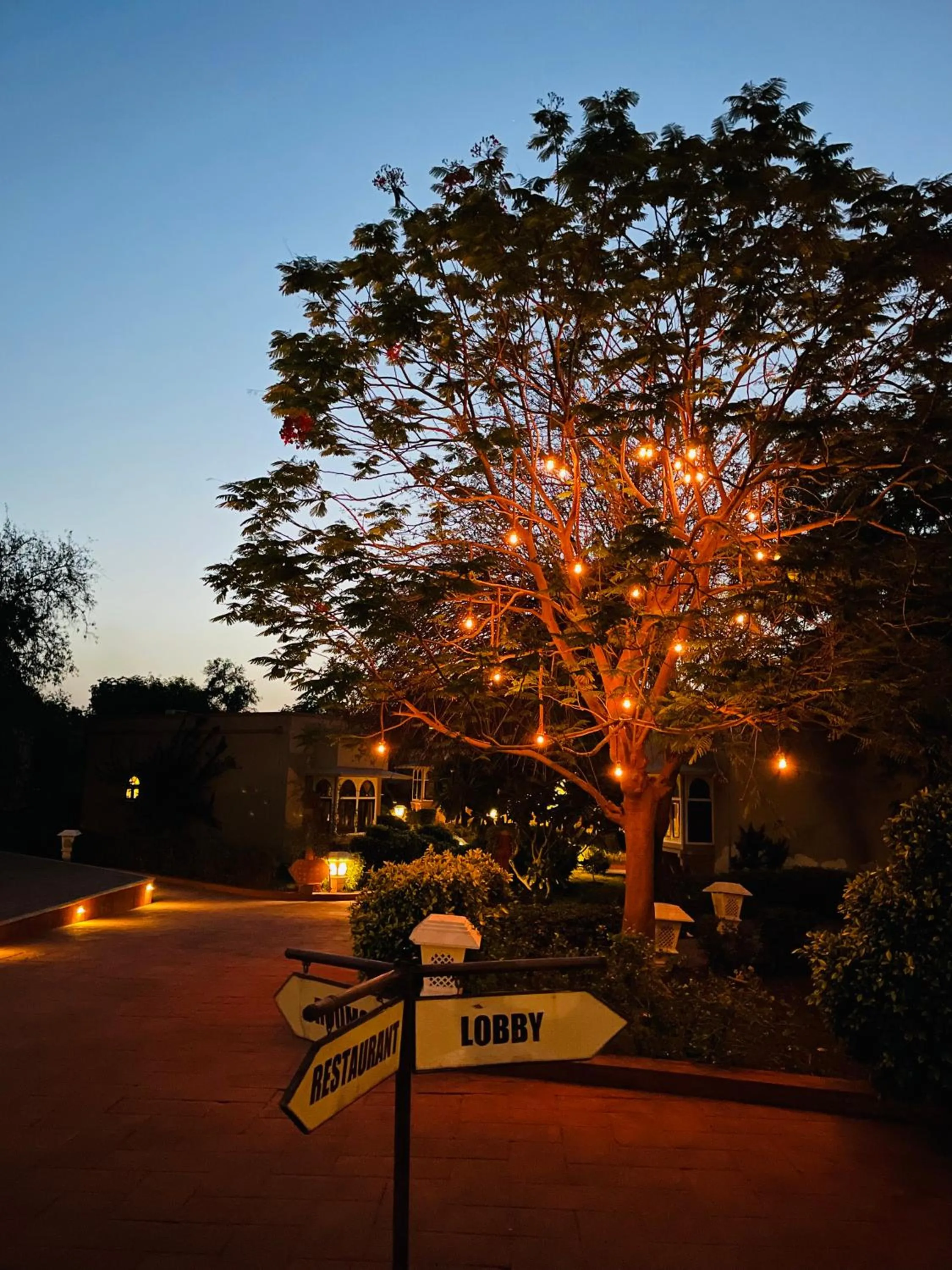 View (from property/room) in Heritage Resort Bikaner