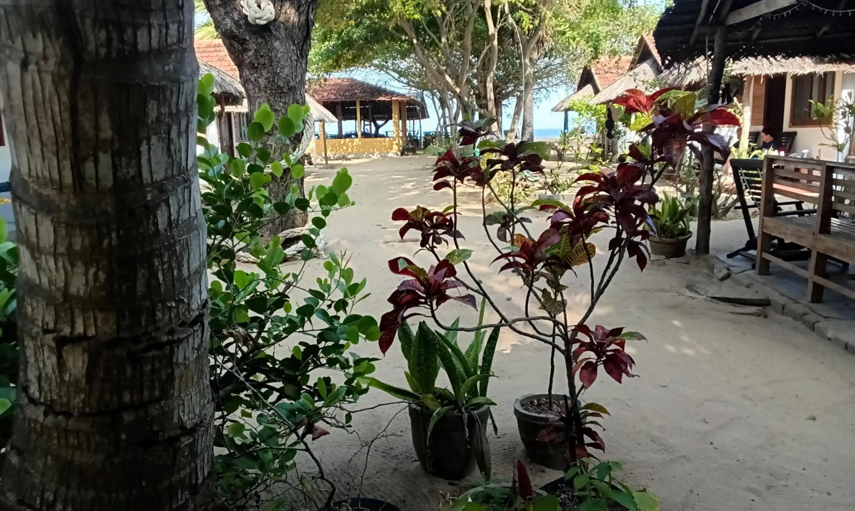 Ocean View Beach Resort - Kalpitiya Ocean View Beach Resort - Kalpitiya