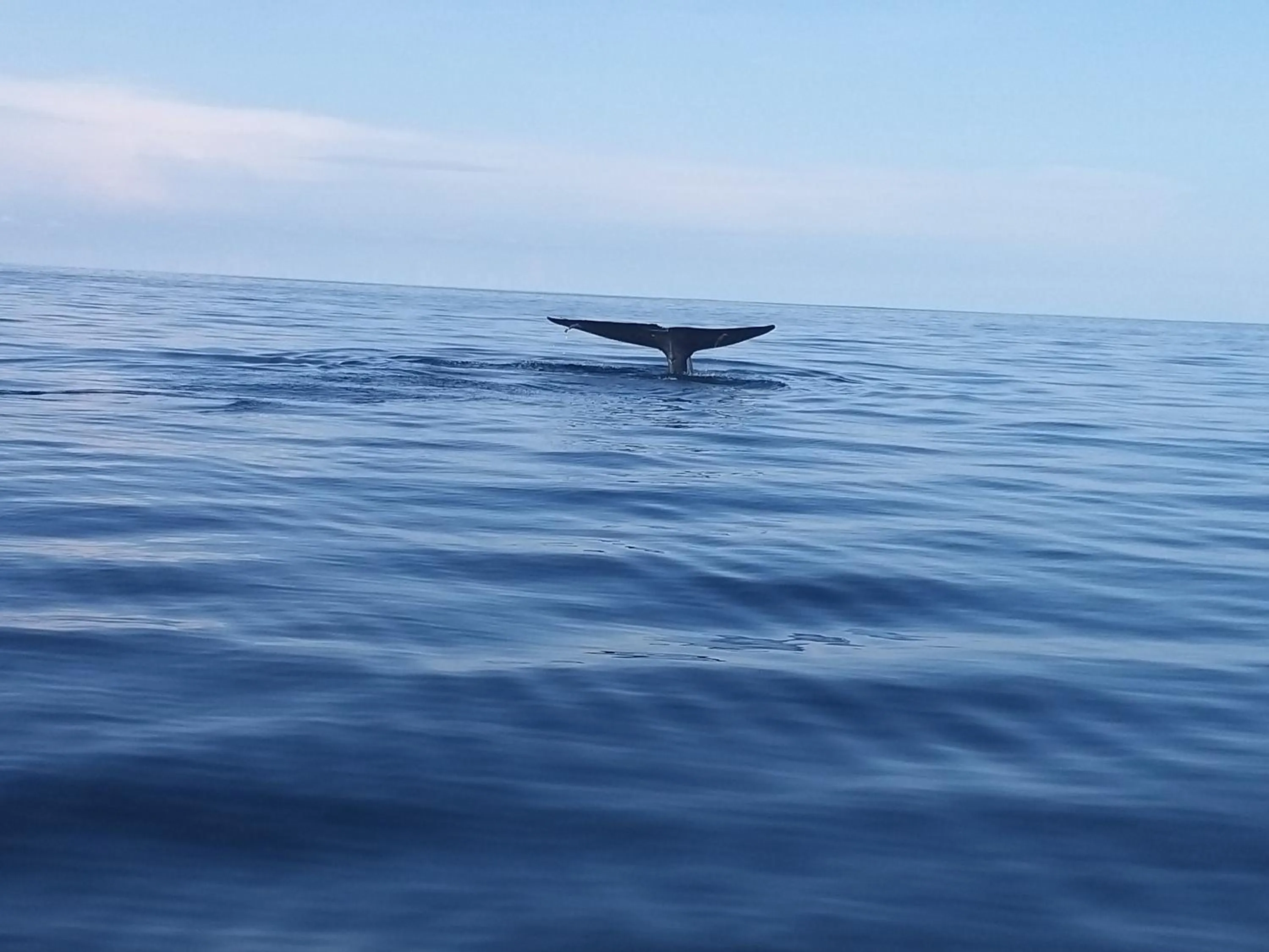Natural landscape in Ocean View Beach Resort - Kalpitiya