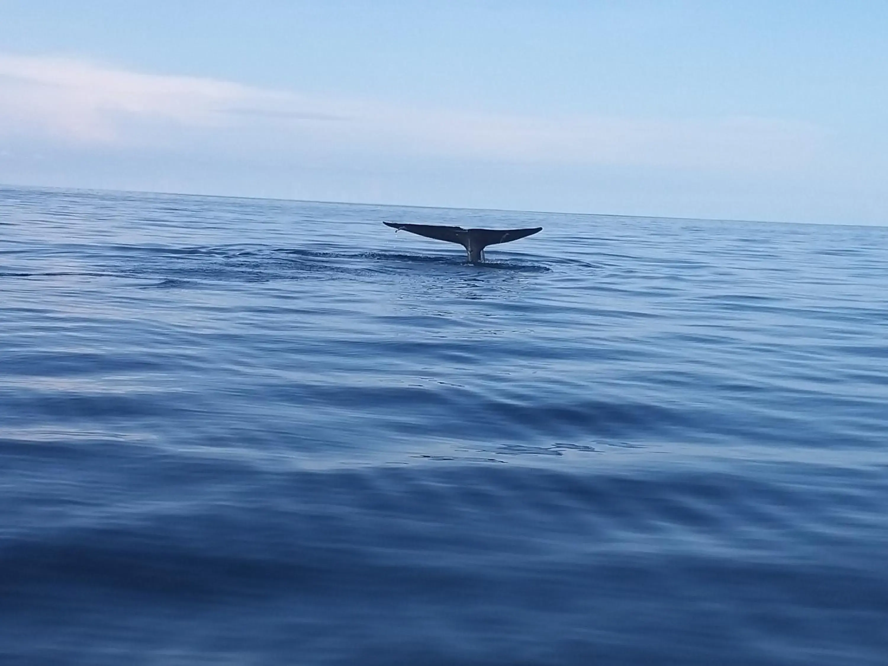 Natural landscape in Ocean View Beach Resort - Kalpitiya Natural landscape in Ocean View Beach Resort - Kalpitiya