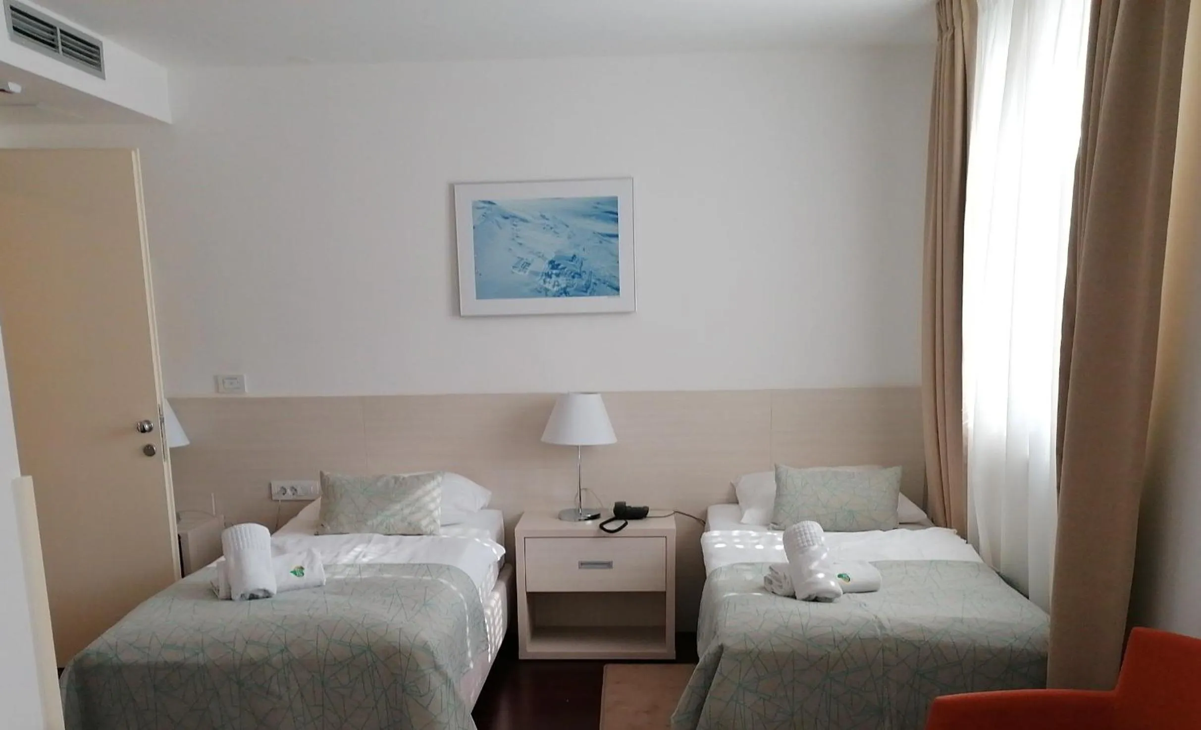 Bed in Hotel Borovnik