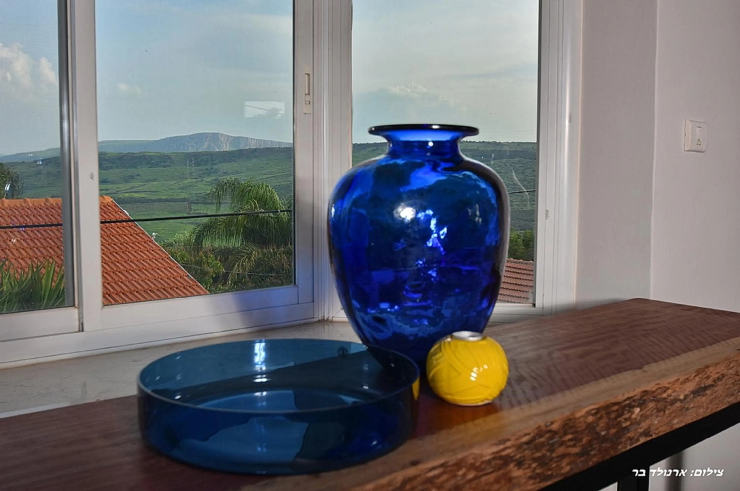 Decorative detail in Agama