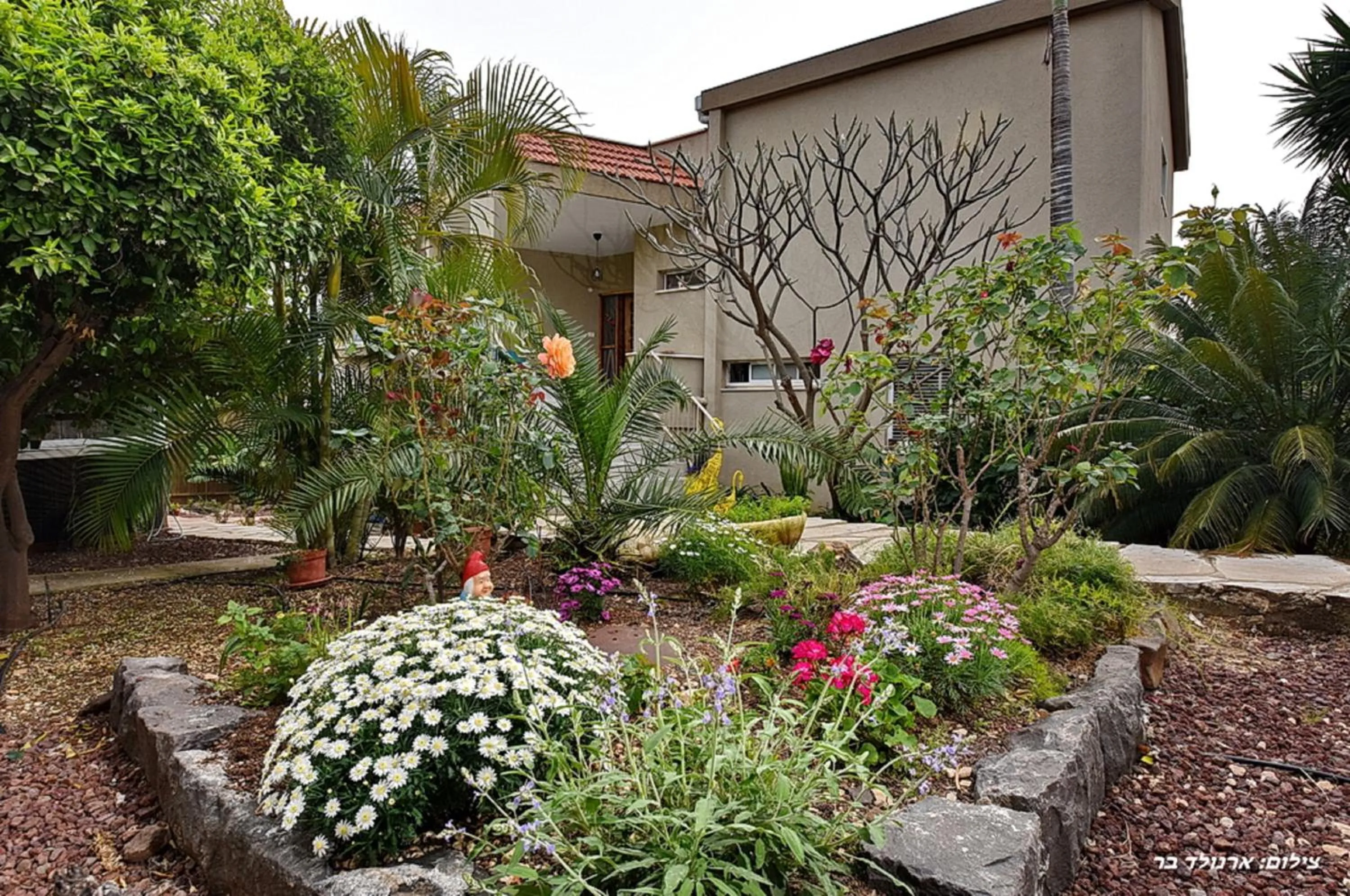 Property building in Agama